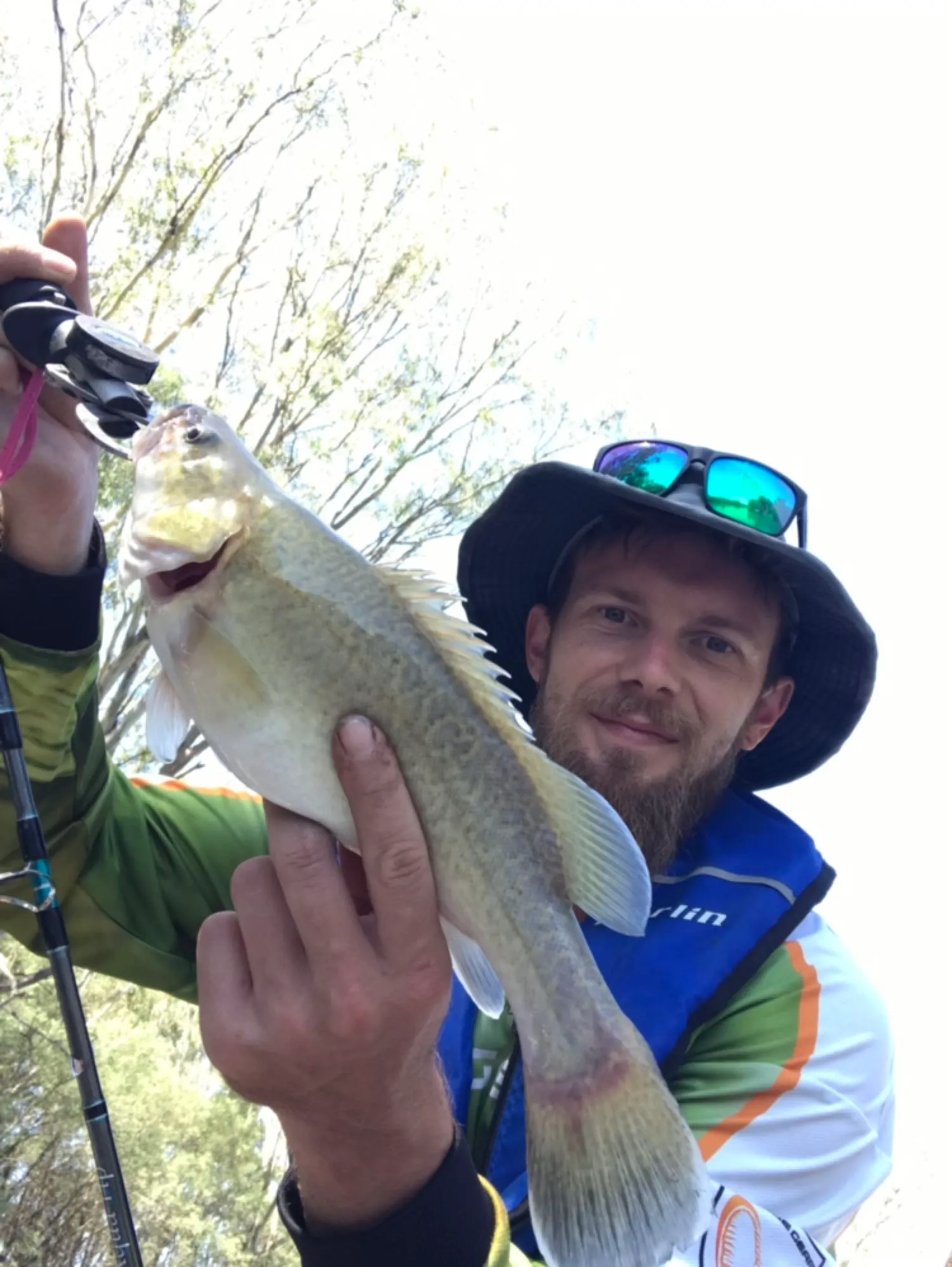 Post image from Doc-Yarrum