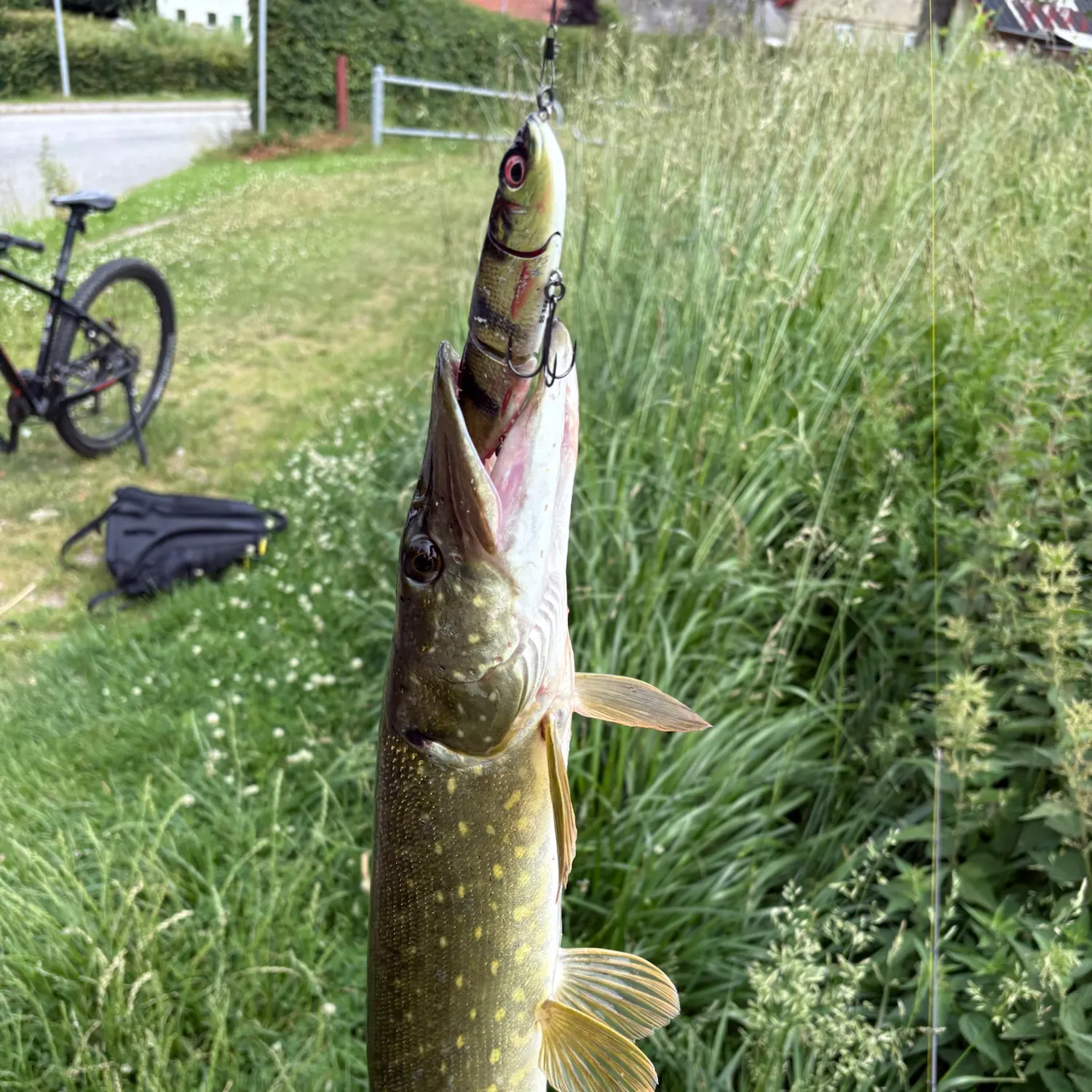 catch