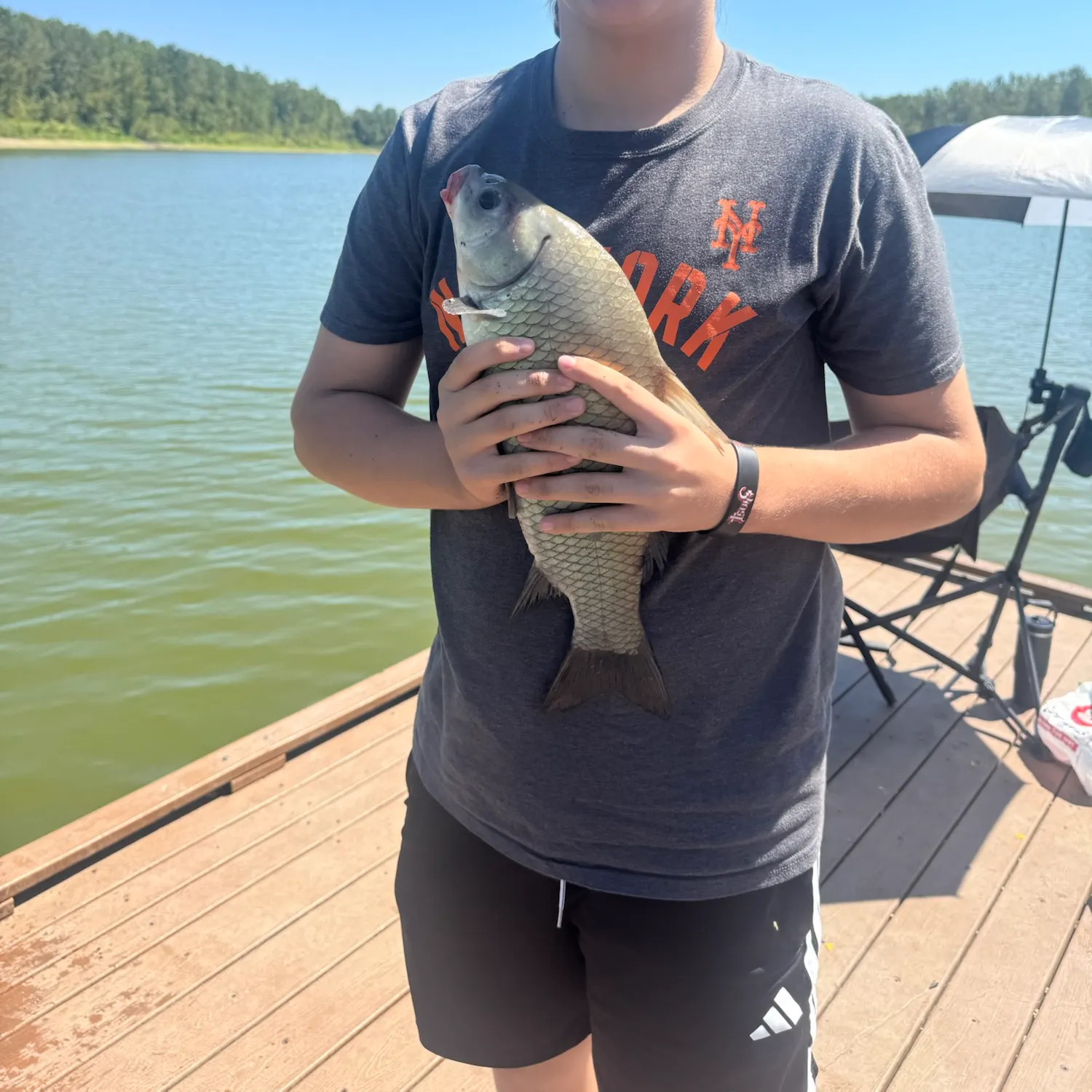 Smallmouth buffalo caught on Fishbrain