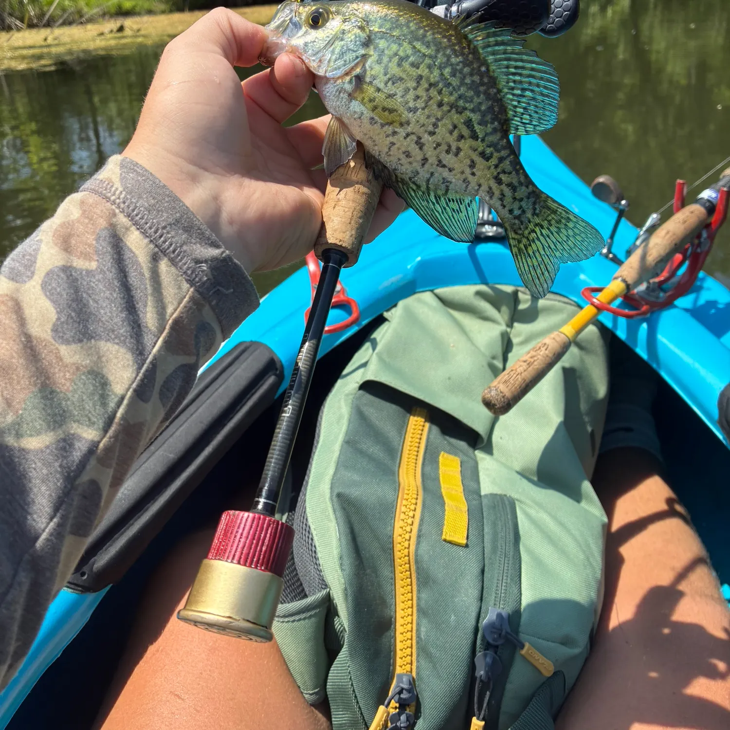 The most recent Magnolia crappie catches on Fishbrain