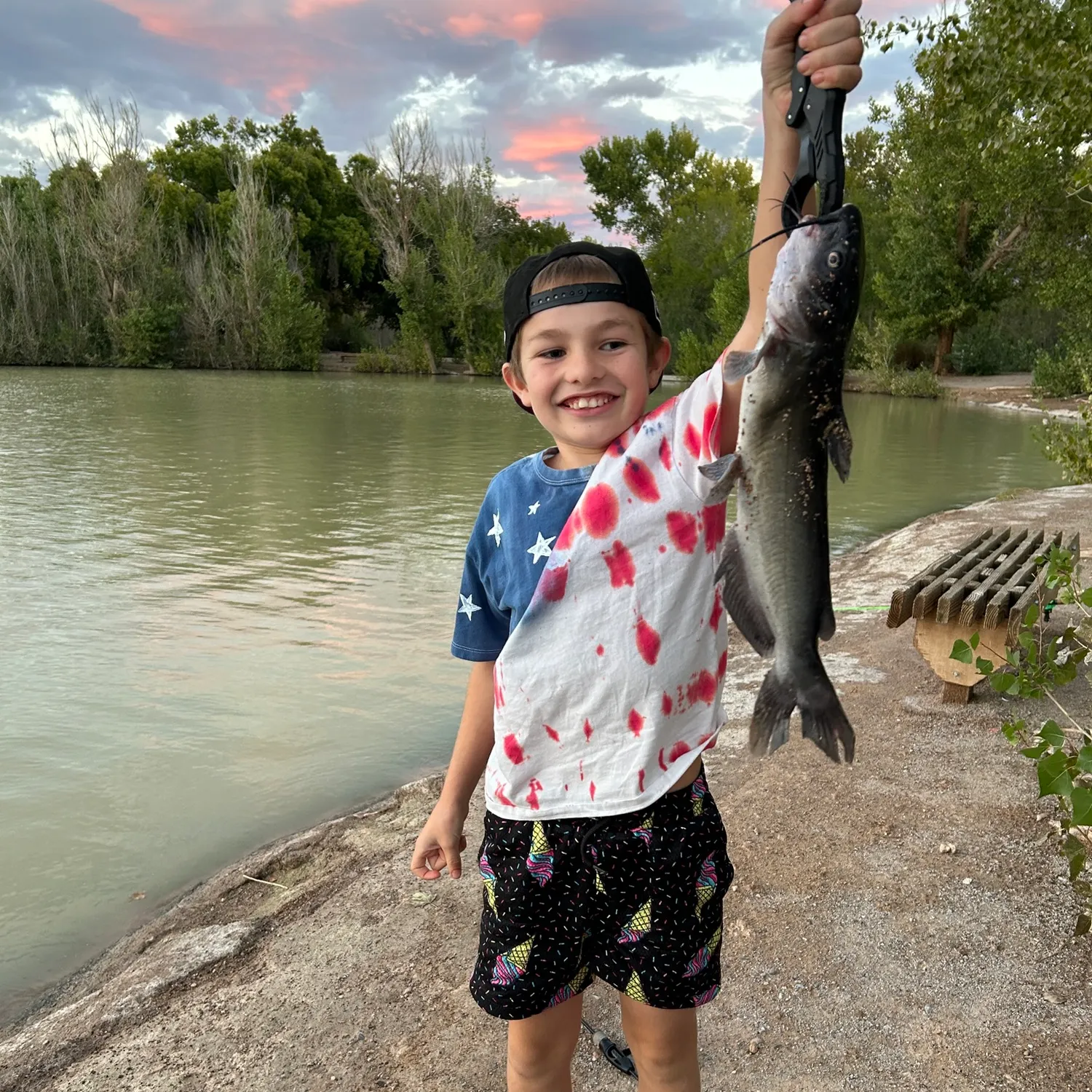 Channel catfish caught on Fishbrain