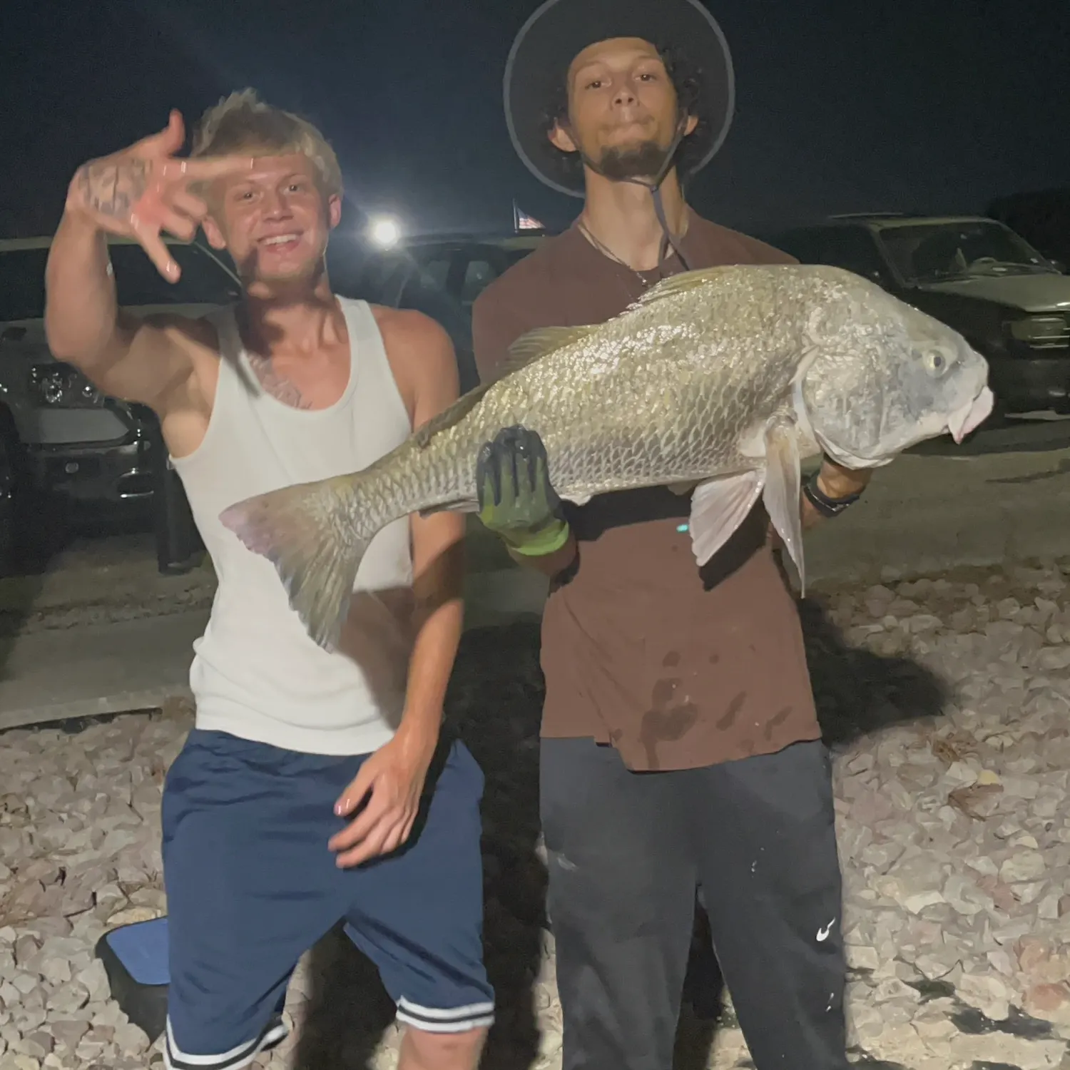 Black drum caught on Fishbrain