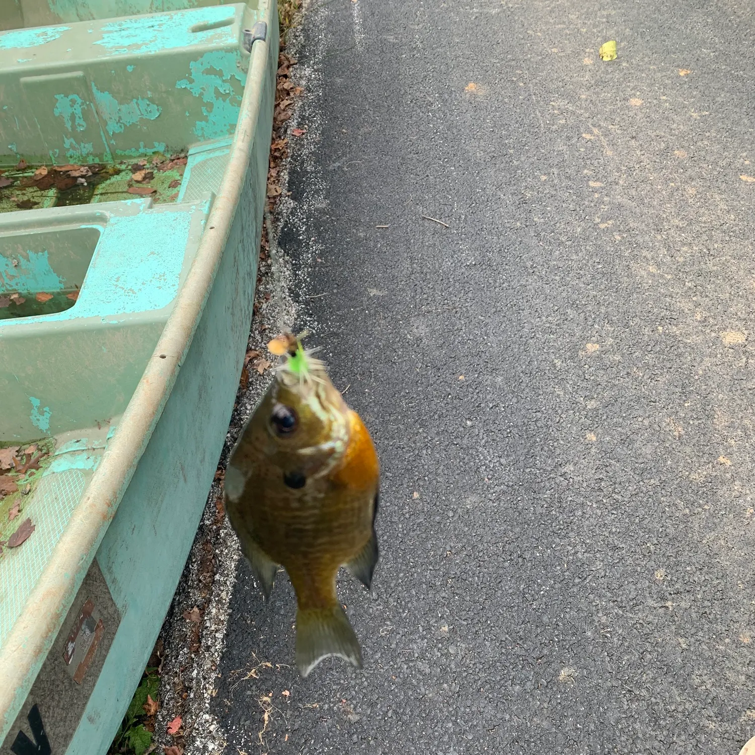 catch
