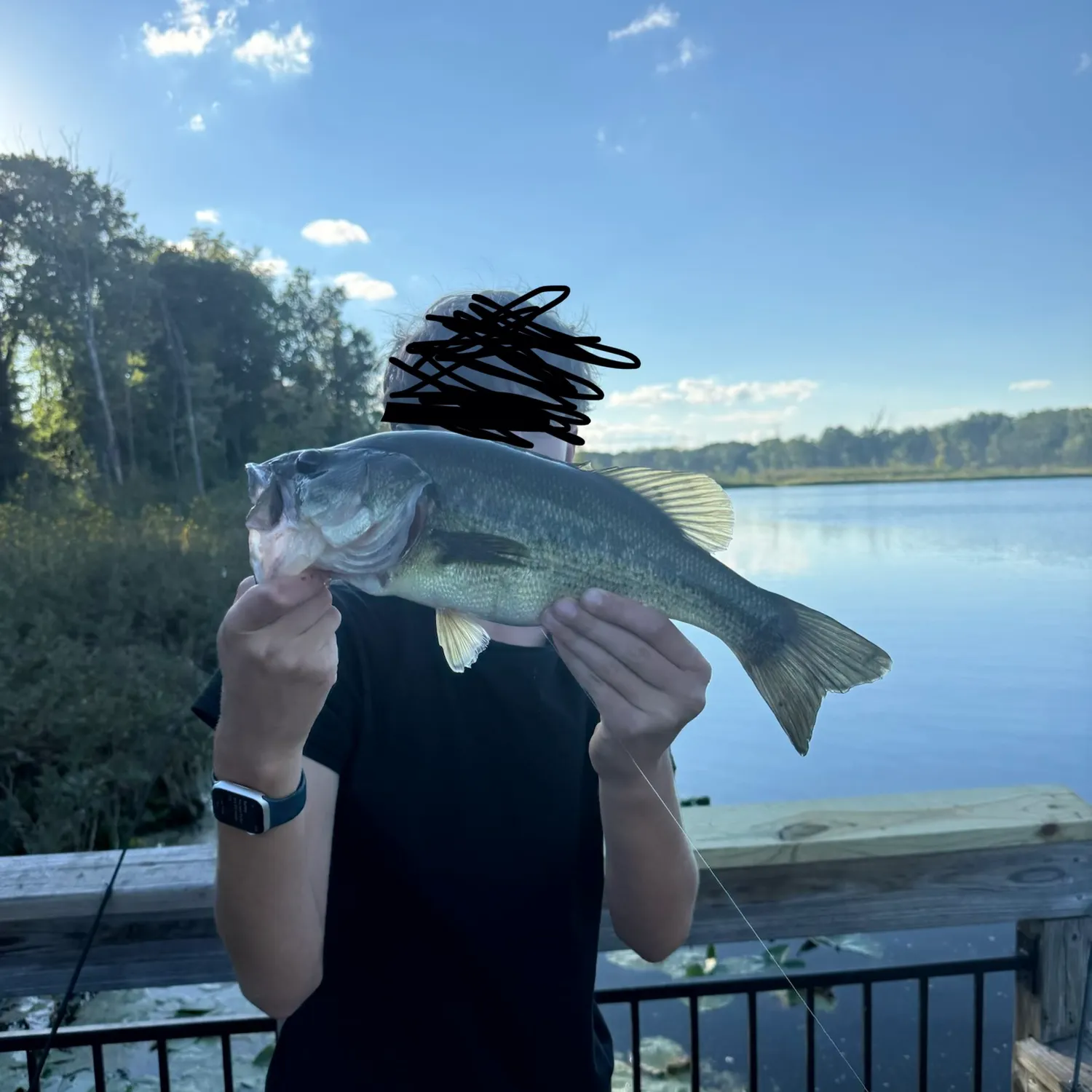 Largemouth bass caught on Fishbrain