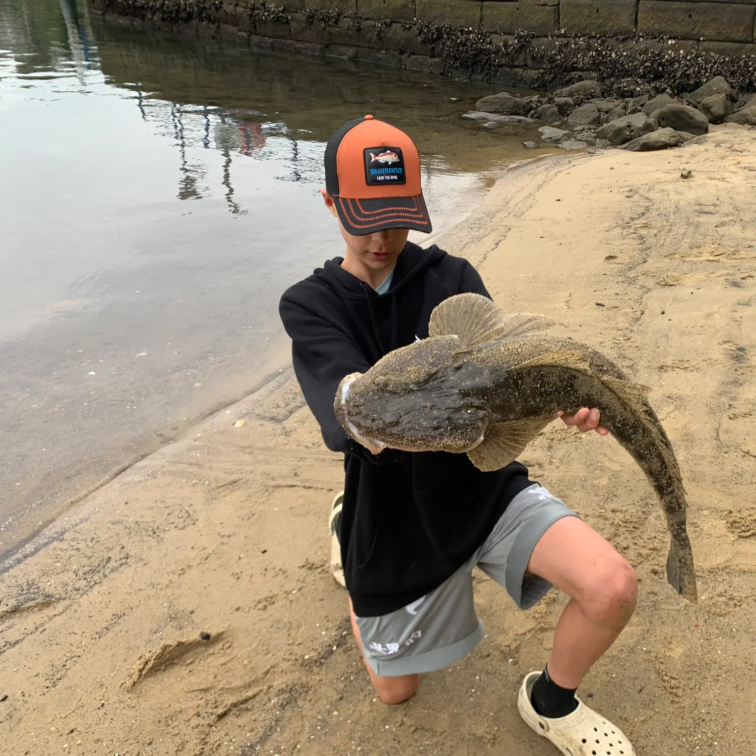 The most recent Dusky flathead catches on Fishbrain