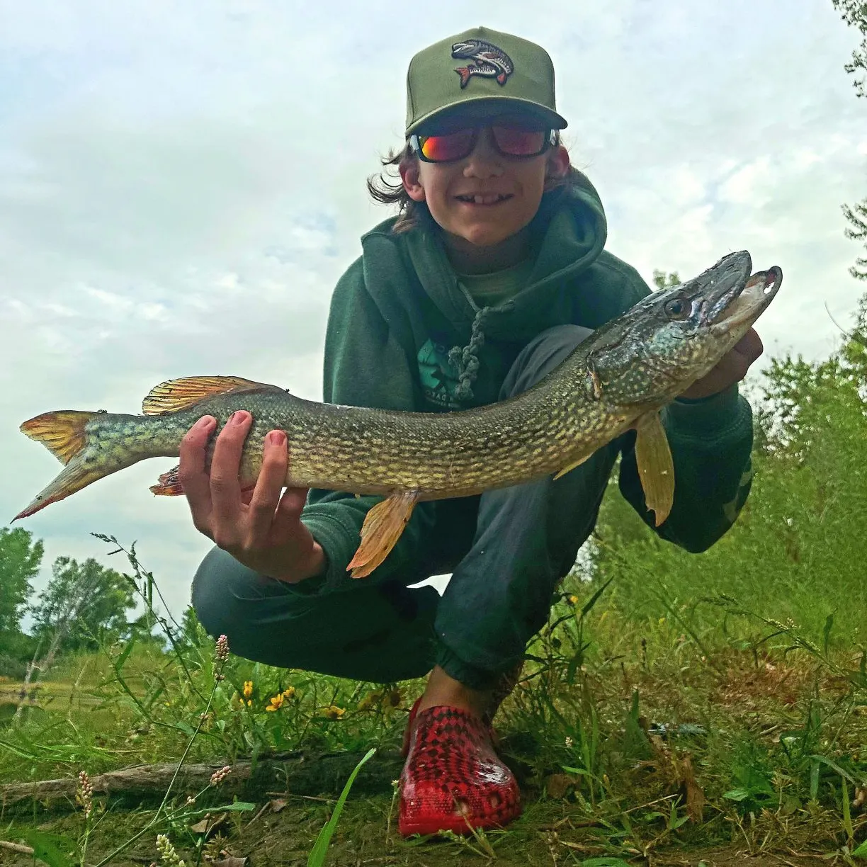 Northern pike caught on Fishbrain