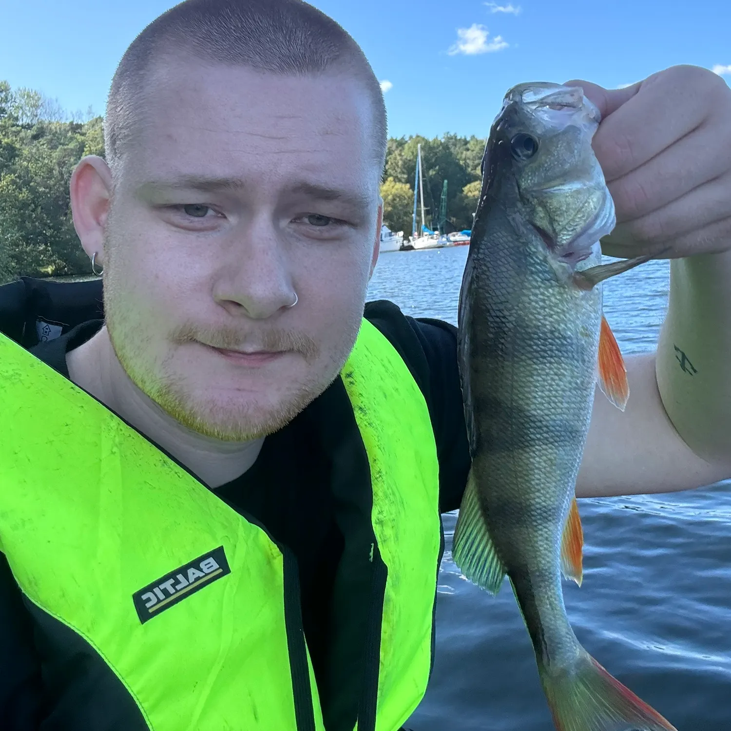 European perch caught on Fishbrain