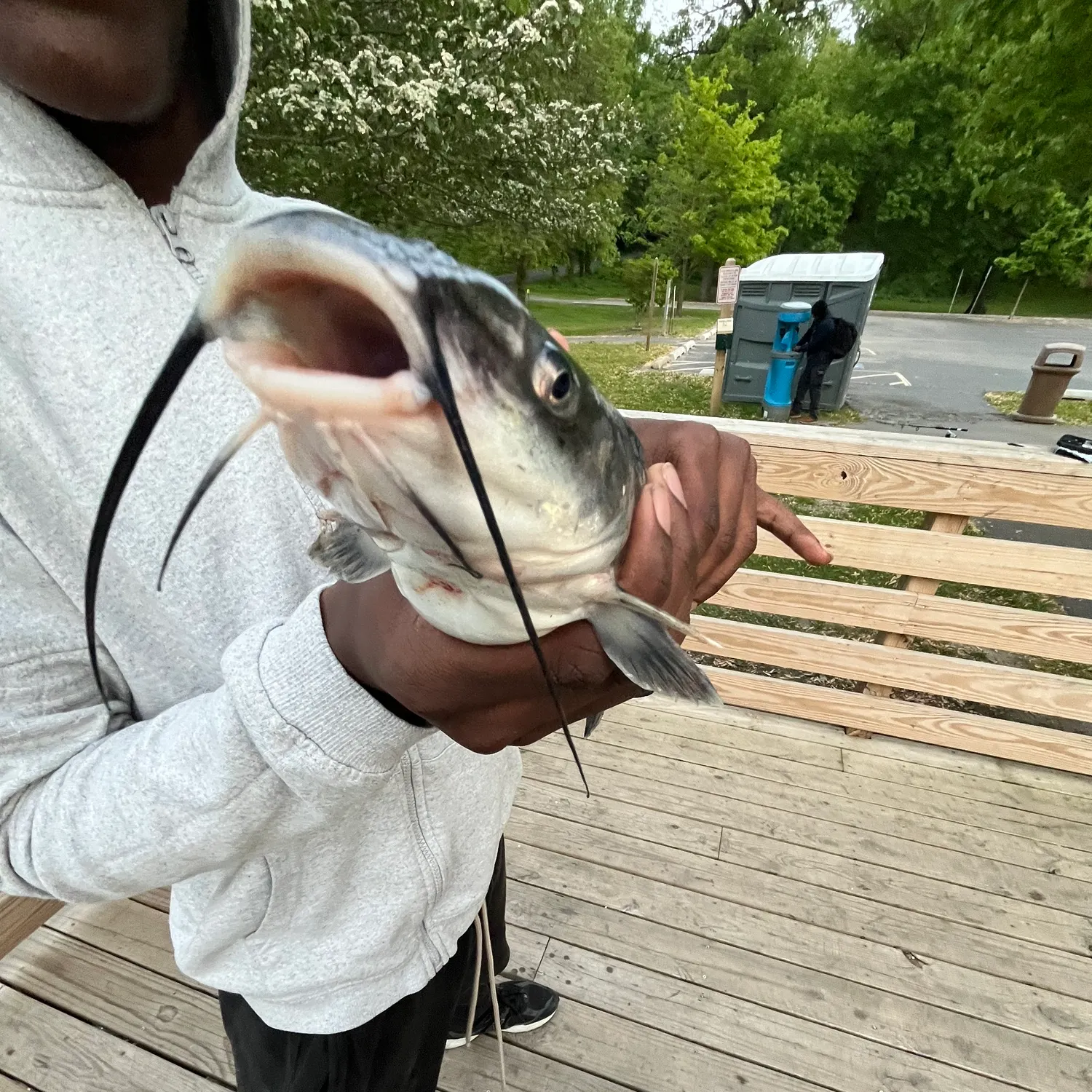 catch