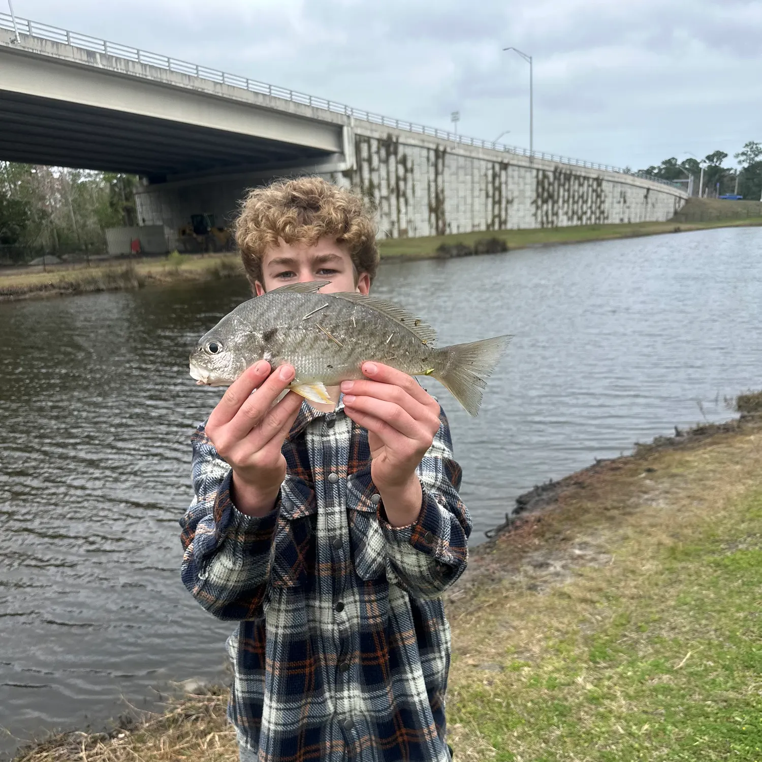 The most recent Spot croaker catches on Fishbrain