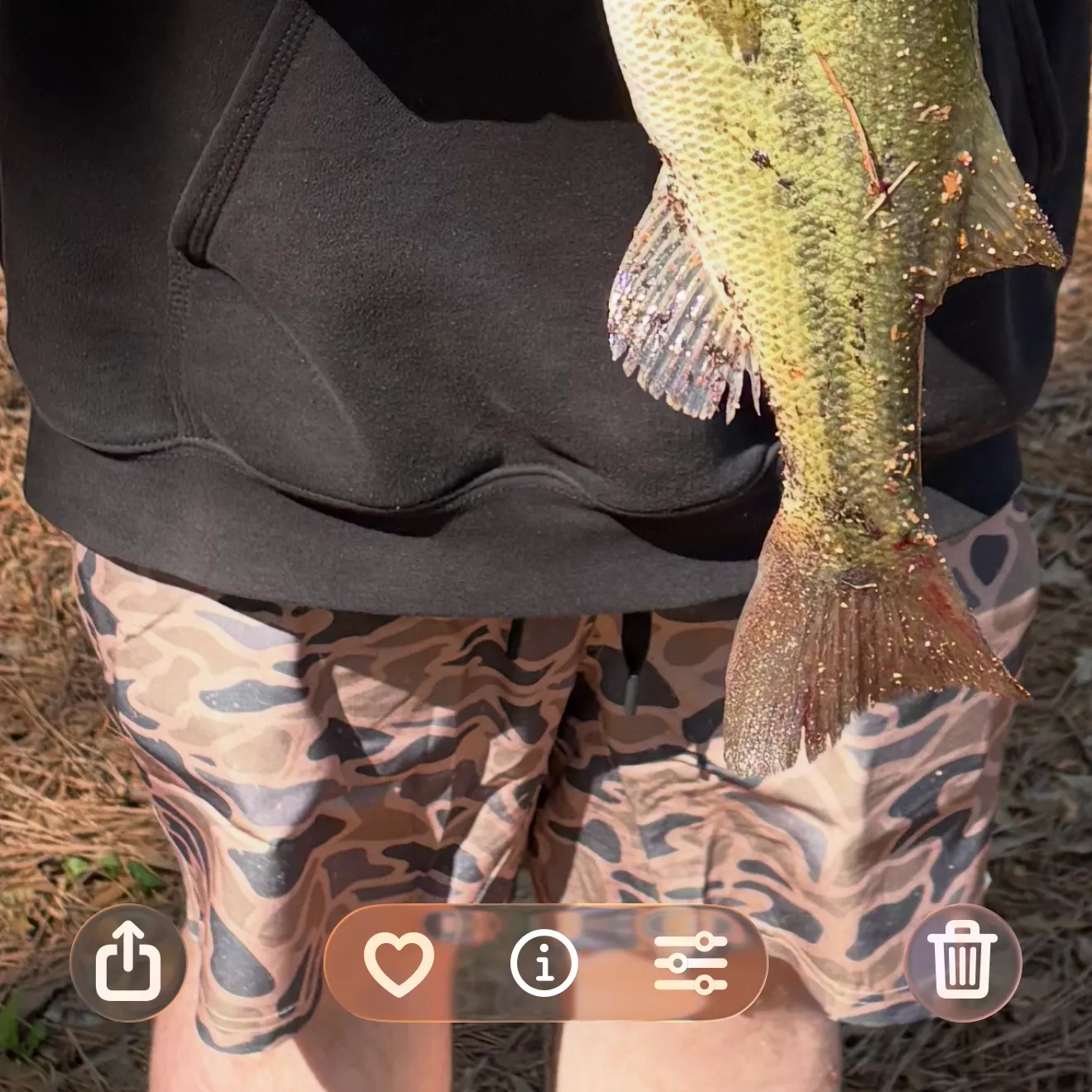 recently logged catches