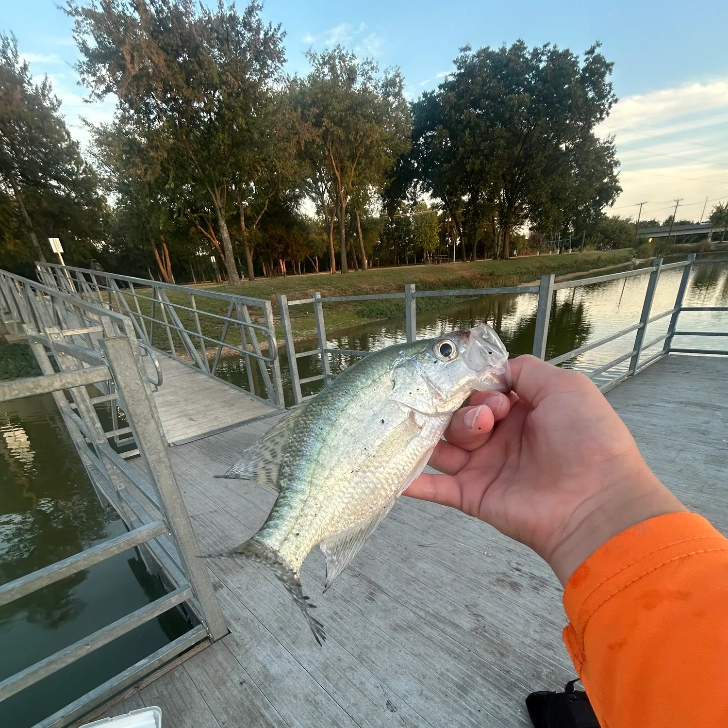 Fish caught on Fishbrain