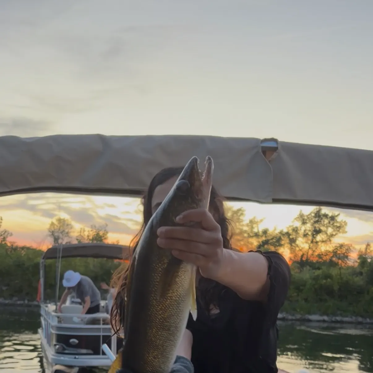 Walleye caught on Fishbrain