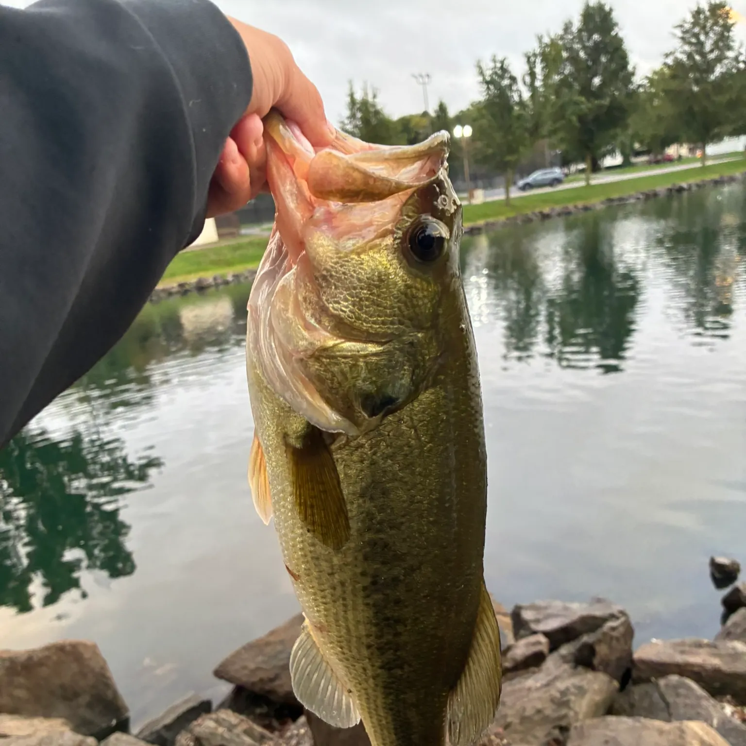 catch