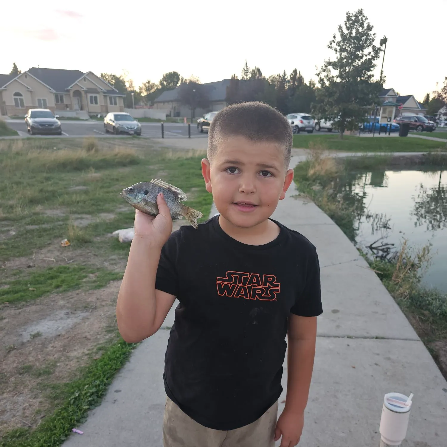 Bluegill caught on Fishbrain
