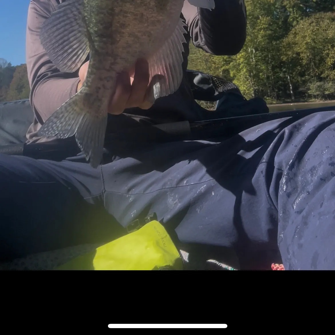 White crappie caught on Fishbrain