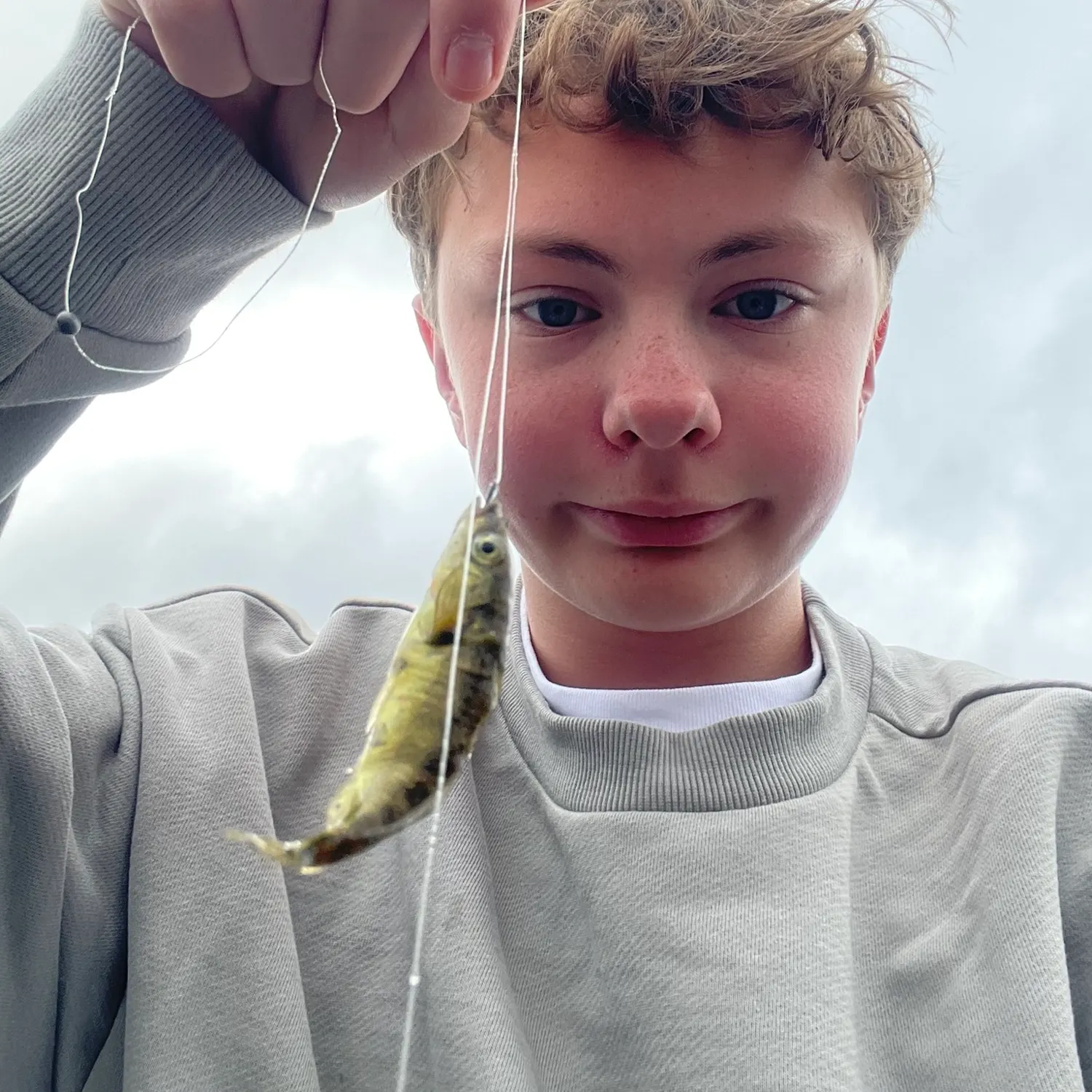 The most recent Round goby catches on Fishbrain