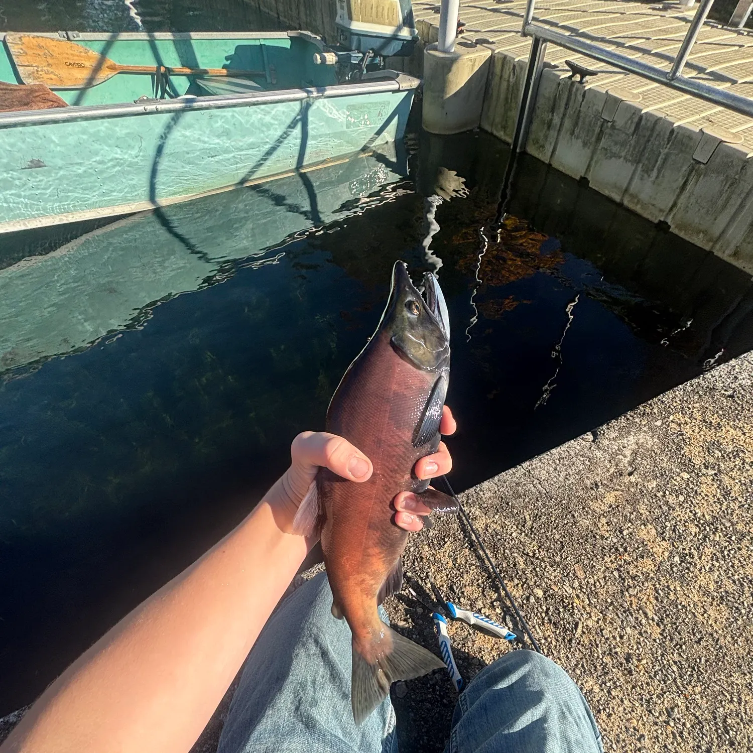 catch