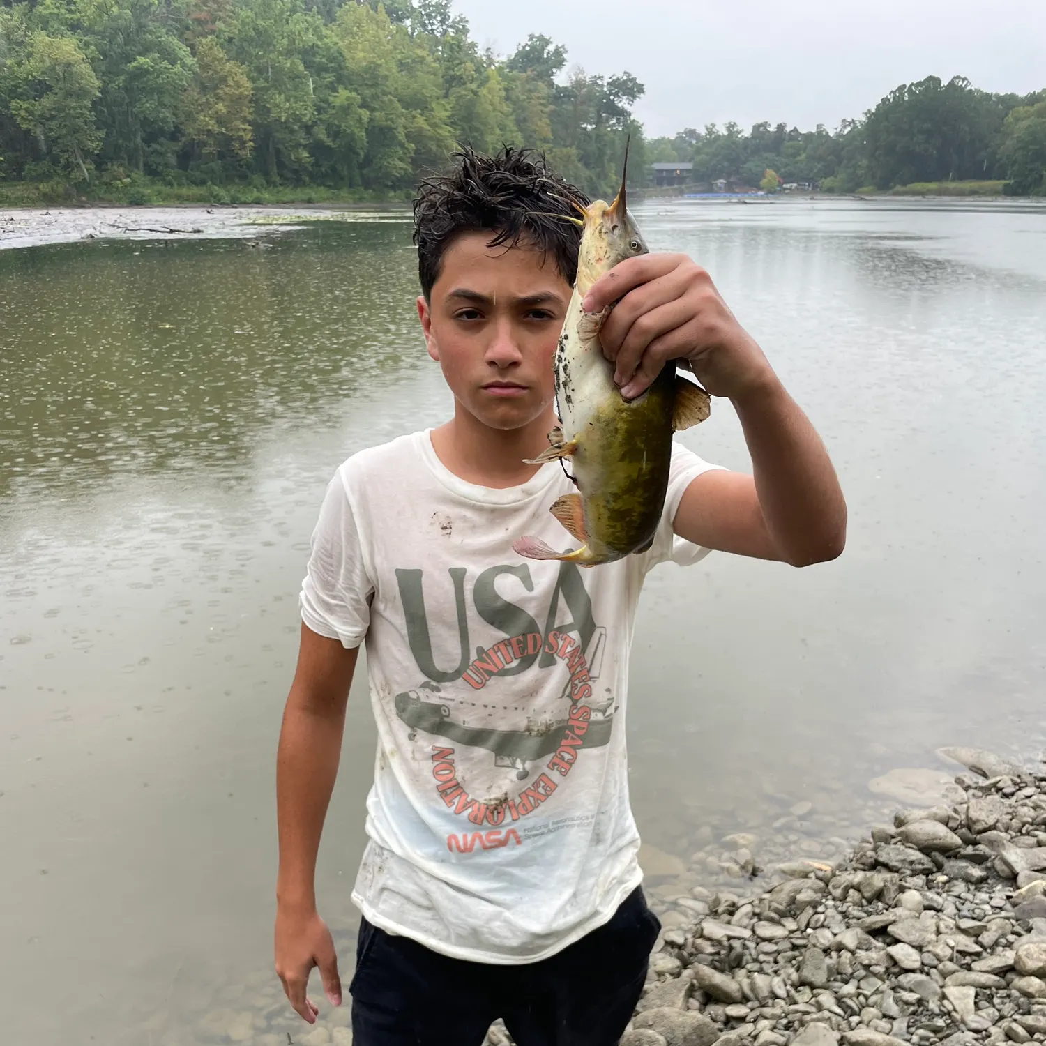 Yellow bullhead caught on Fishbrain