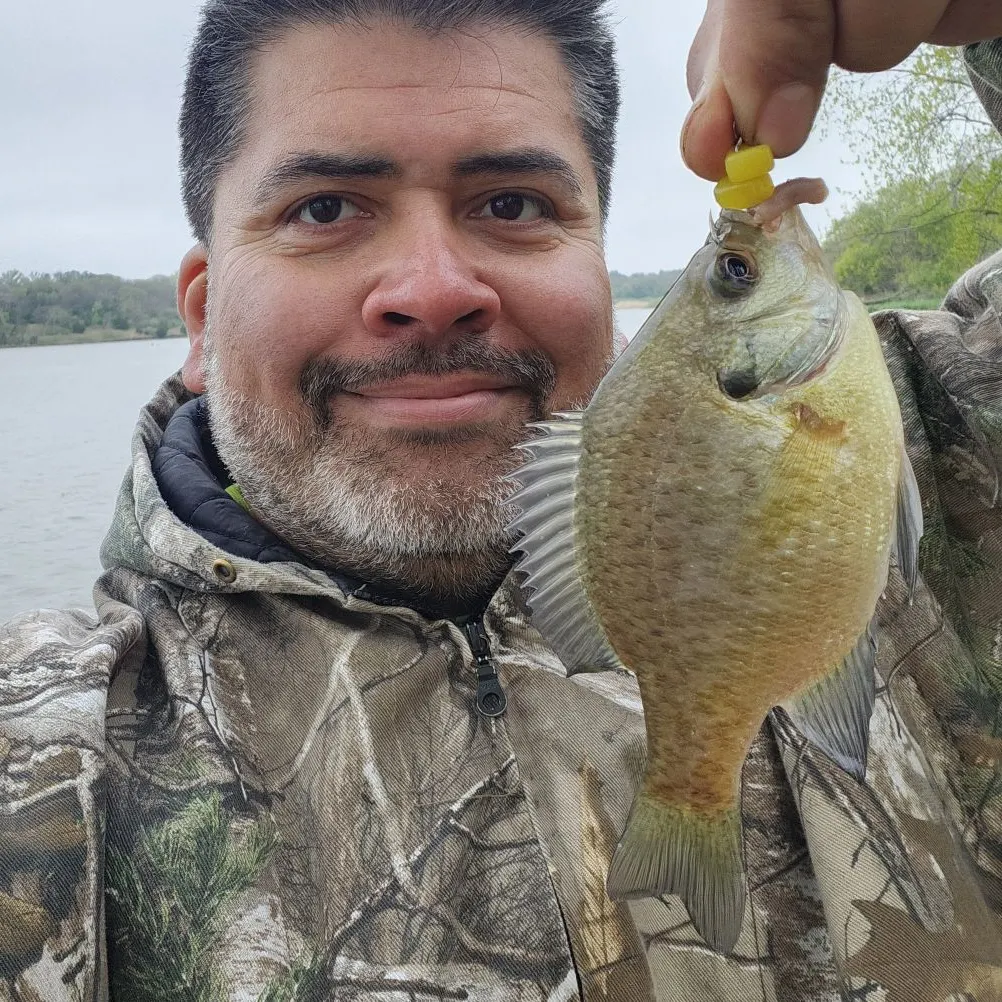 most liked catch image