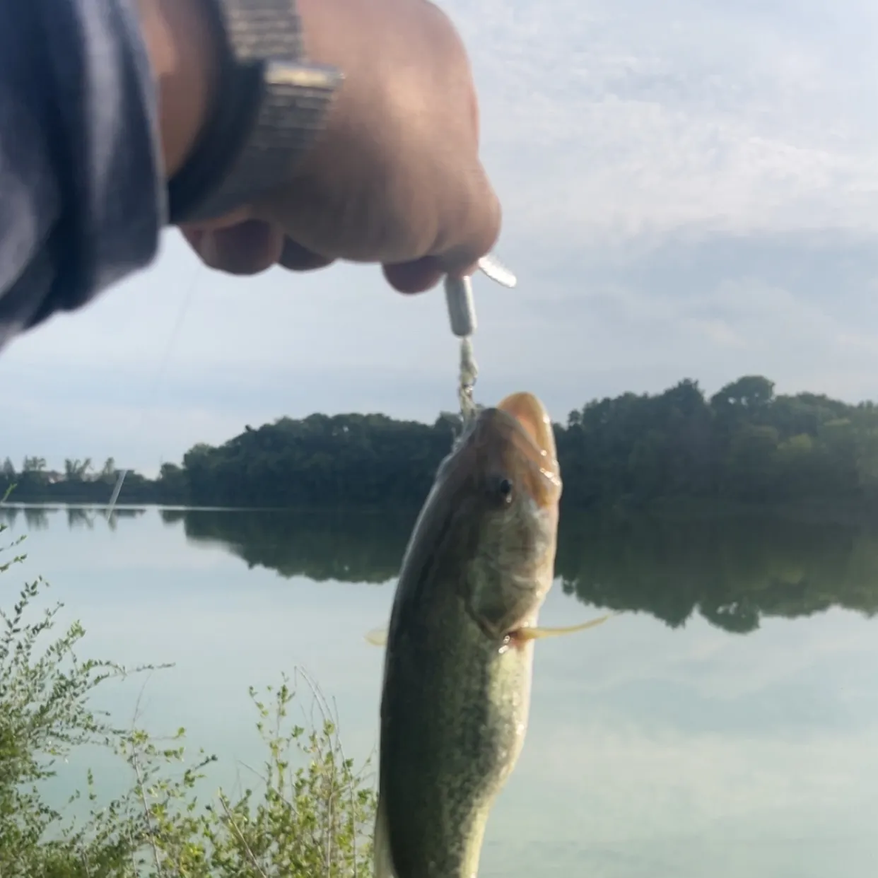 Fish caught on Fishbrain