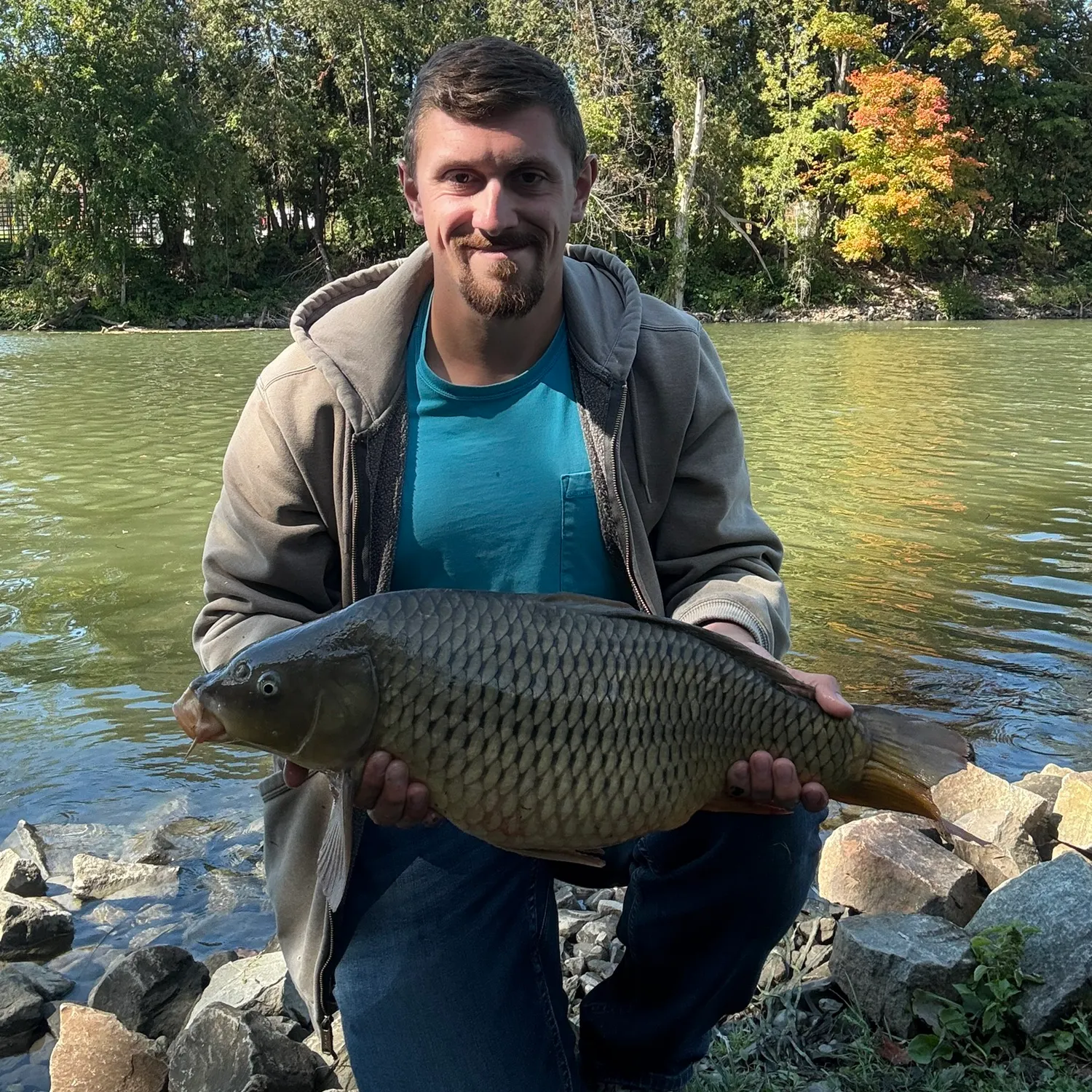 Common carp caught on Fishbrain