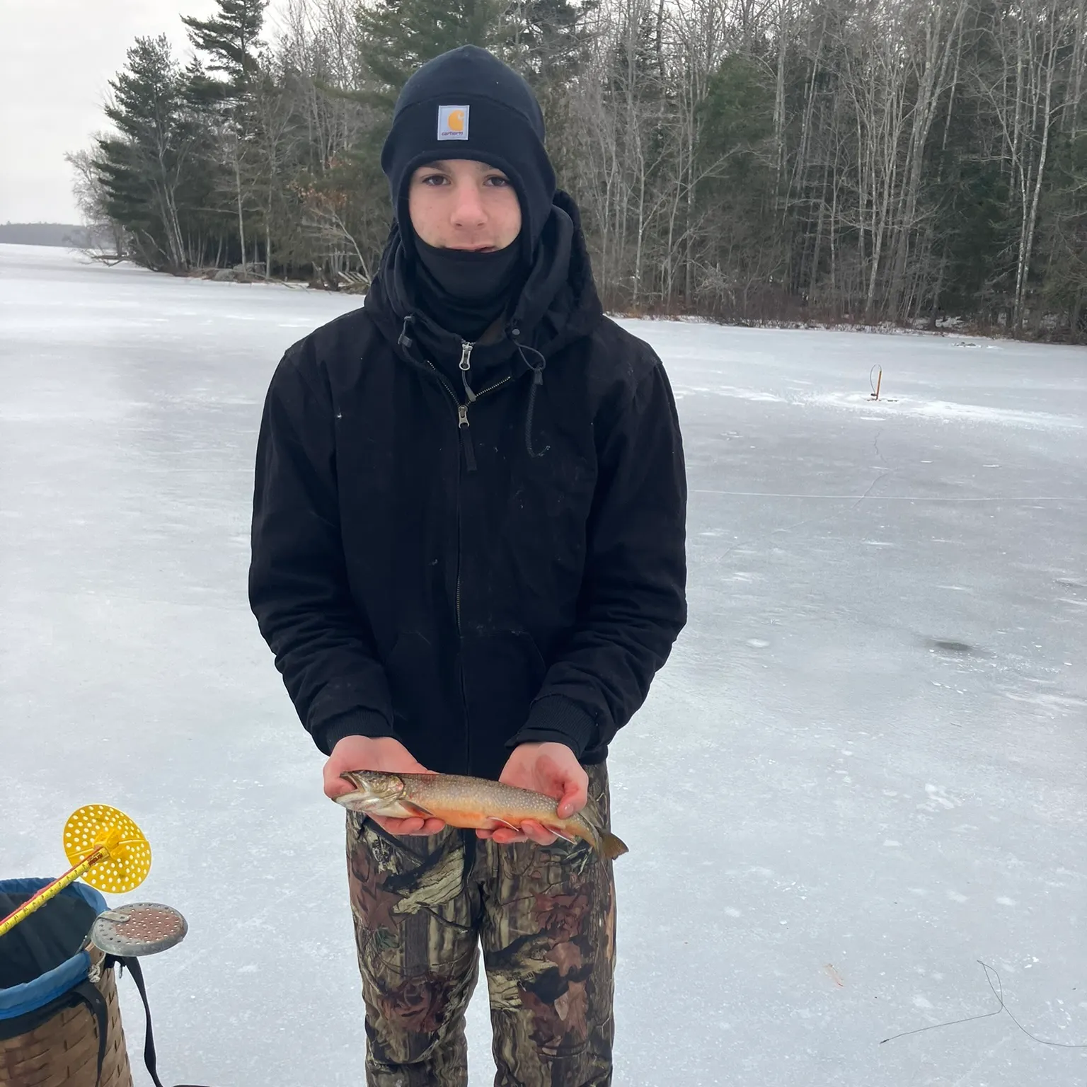 The most recent Splake catches on Fishbrain