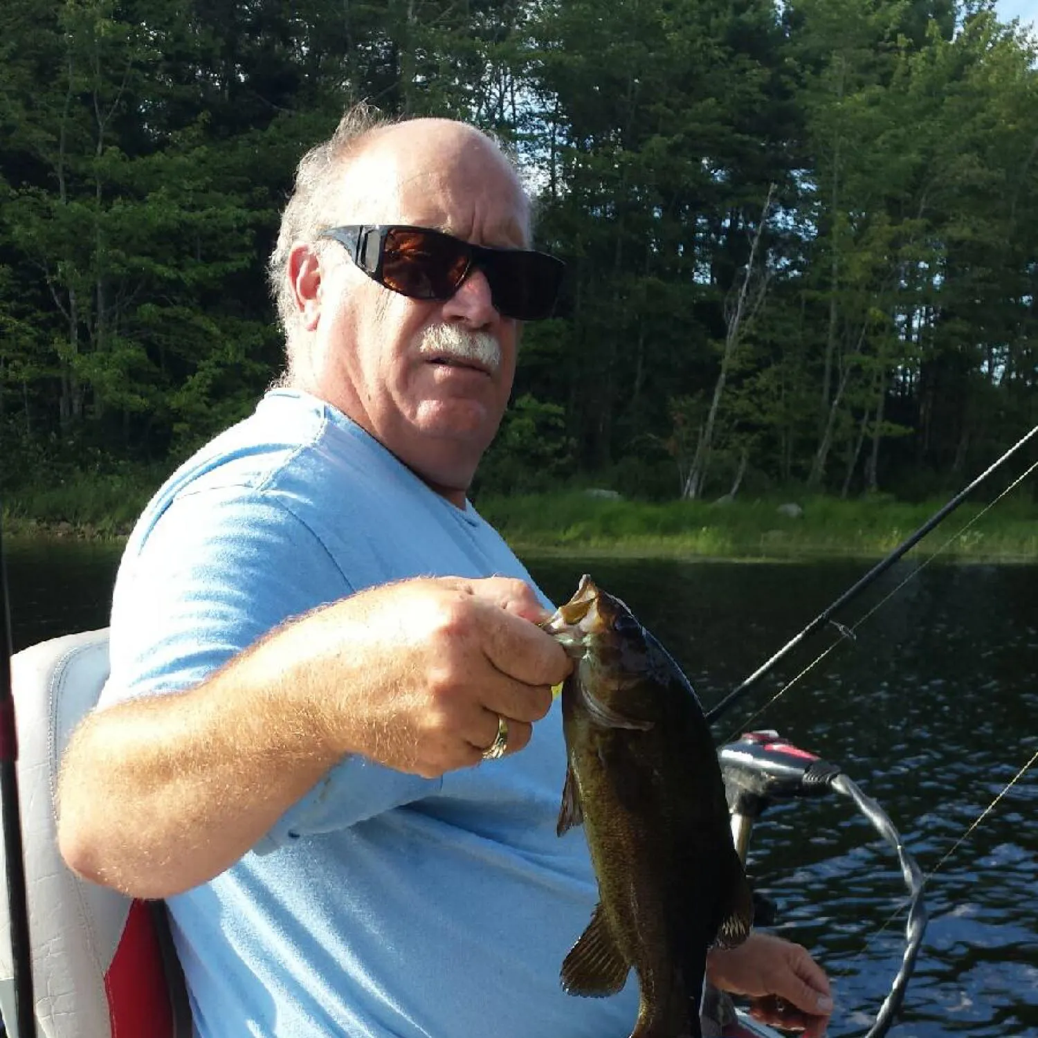 Smallmouth bass caught on Fishbrain