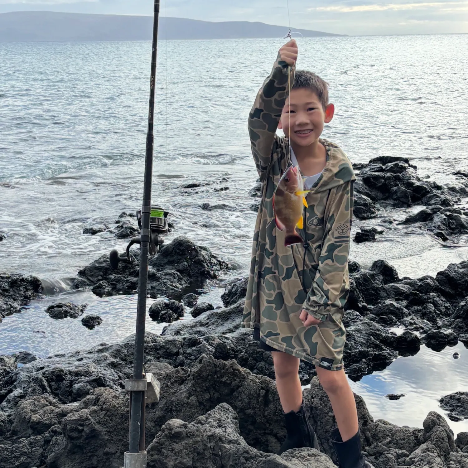 The most recent Blacktail snapper catches on Fishbrain