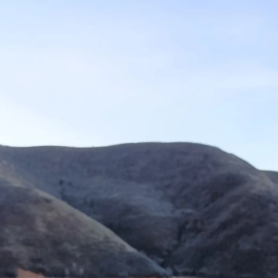 The most recent Bala shark catches on Fishbrain