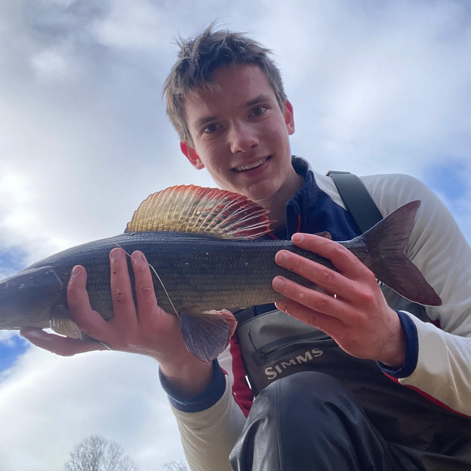 The most recent European grayling catches on Fishbrain