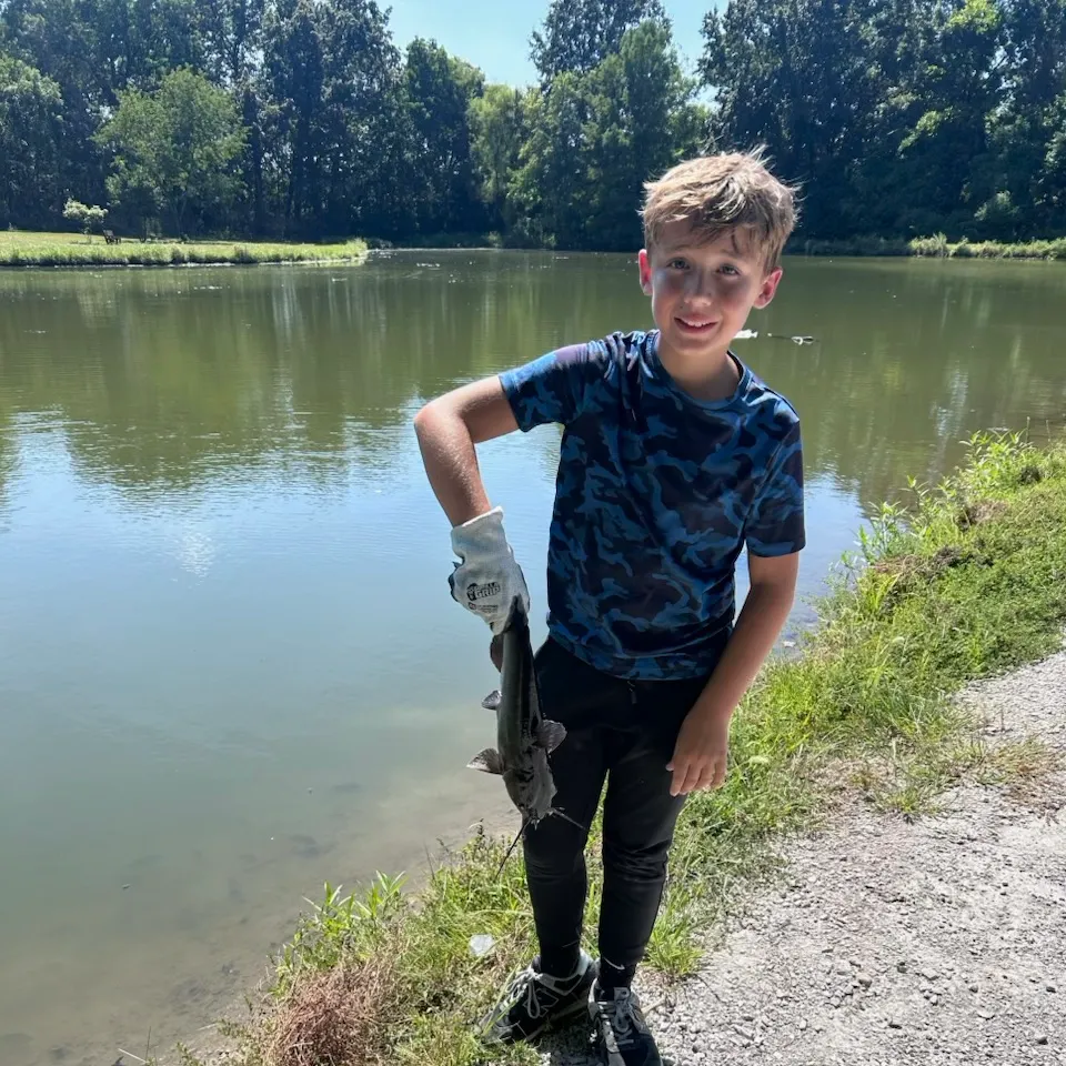 Channel catfish caught on Fishbrain