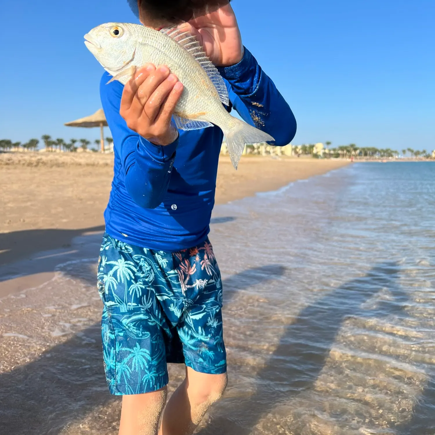 The most recent Giant trevally catches on Fishbrain