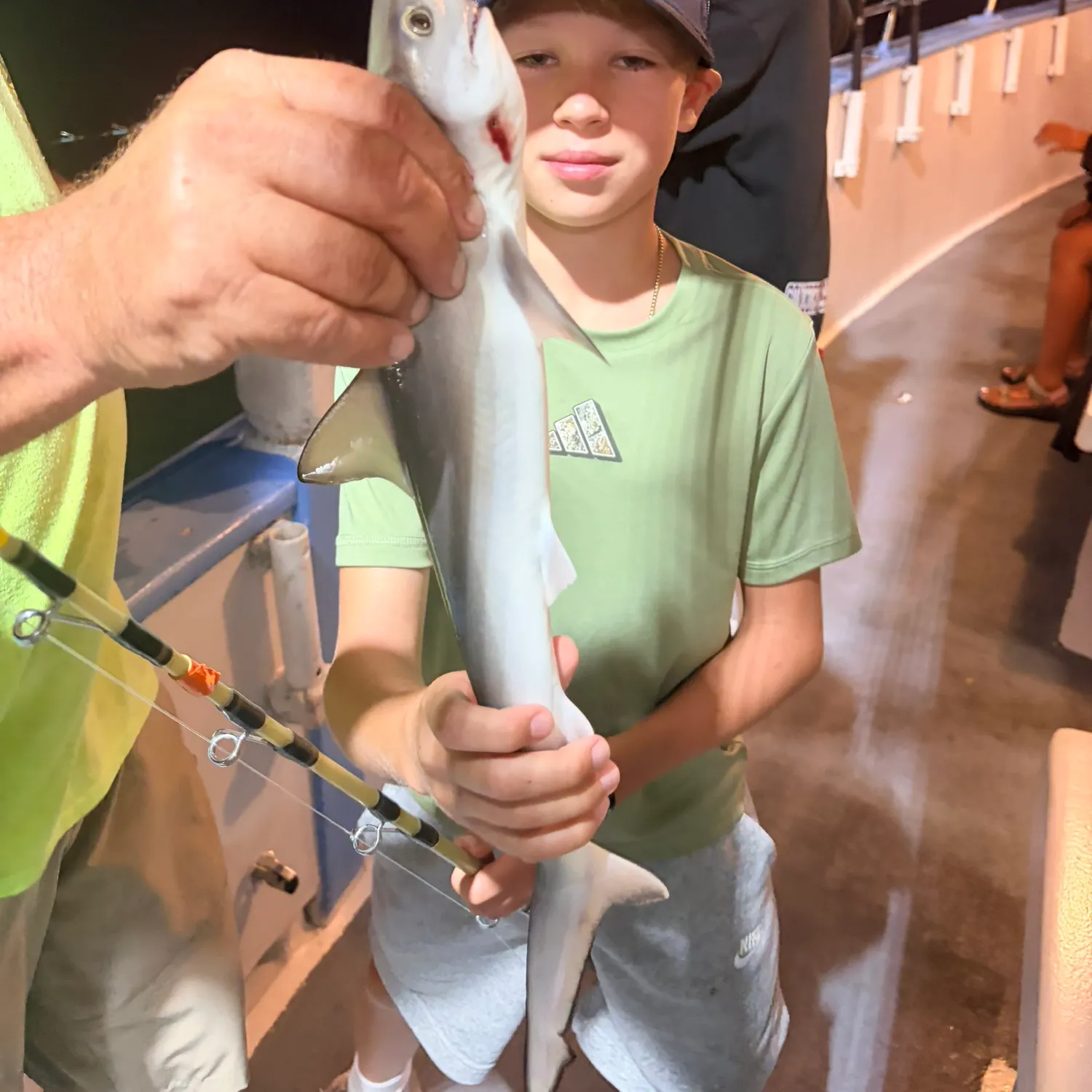Atlantic sharpnose shark caught on Fishbrain