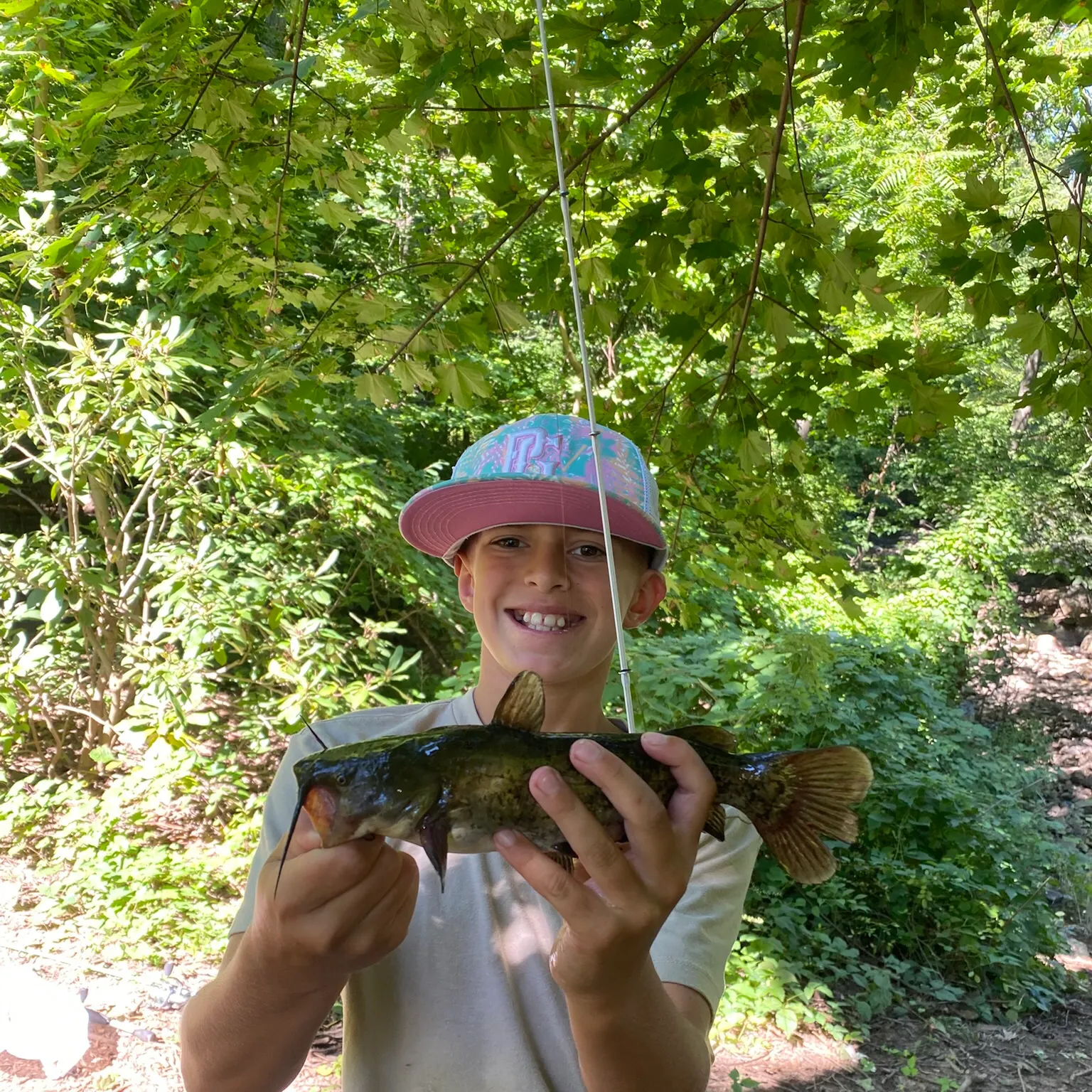 Black bullhead caught on Fishbrain