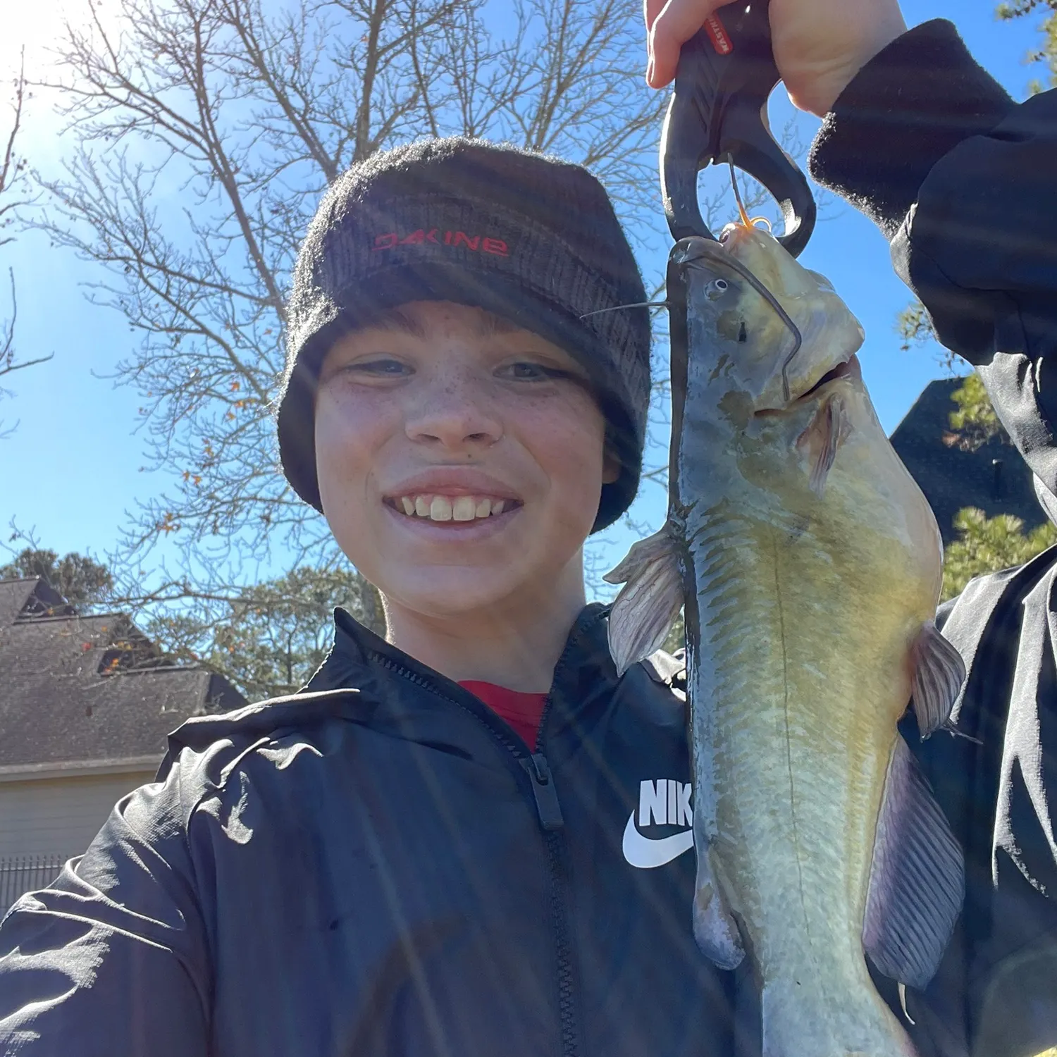 The most recent Yellow bullhead catches on Fishbrain