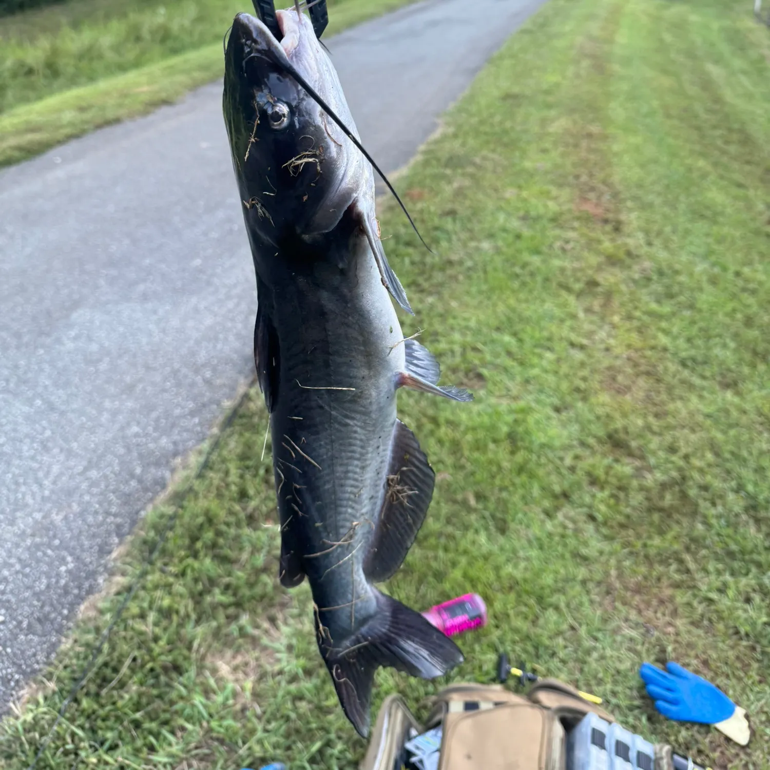 catch