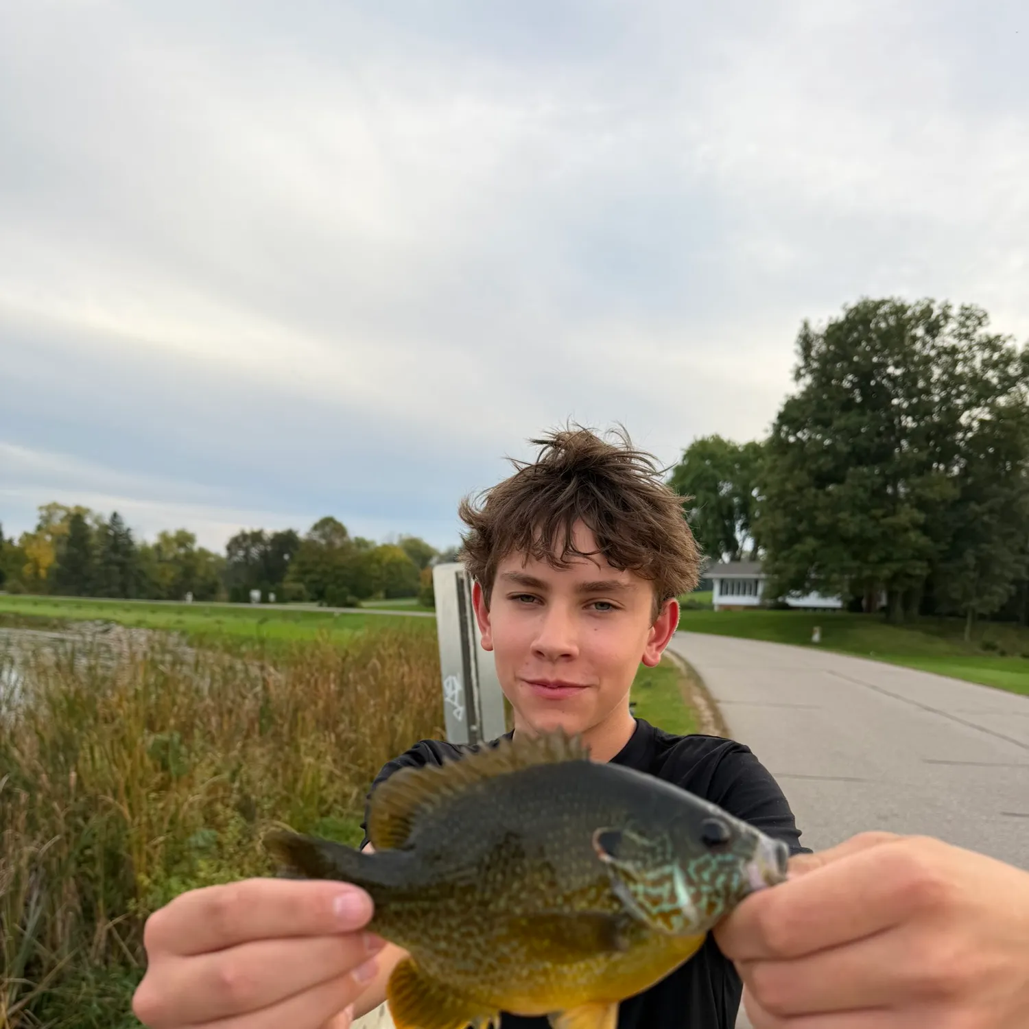 Pumpkinseed caught on Fishbrain