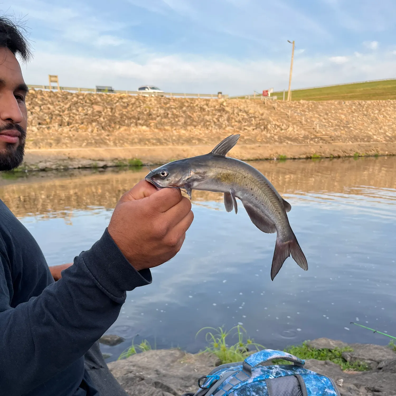 Channel catfish caught on Fishbrain