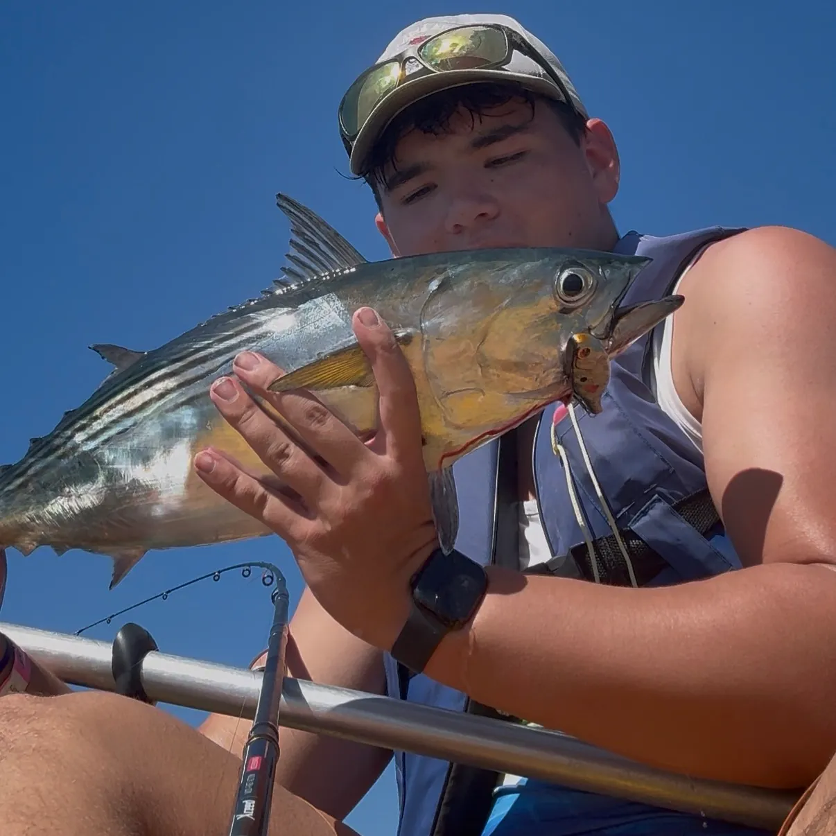 The most recent Eastern Pacific bonito catches on Fishbrain