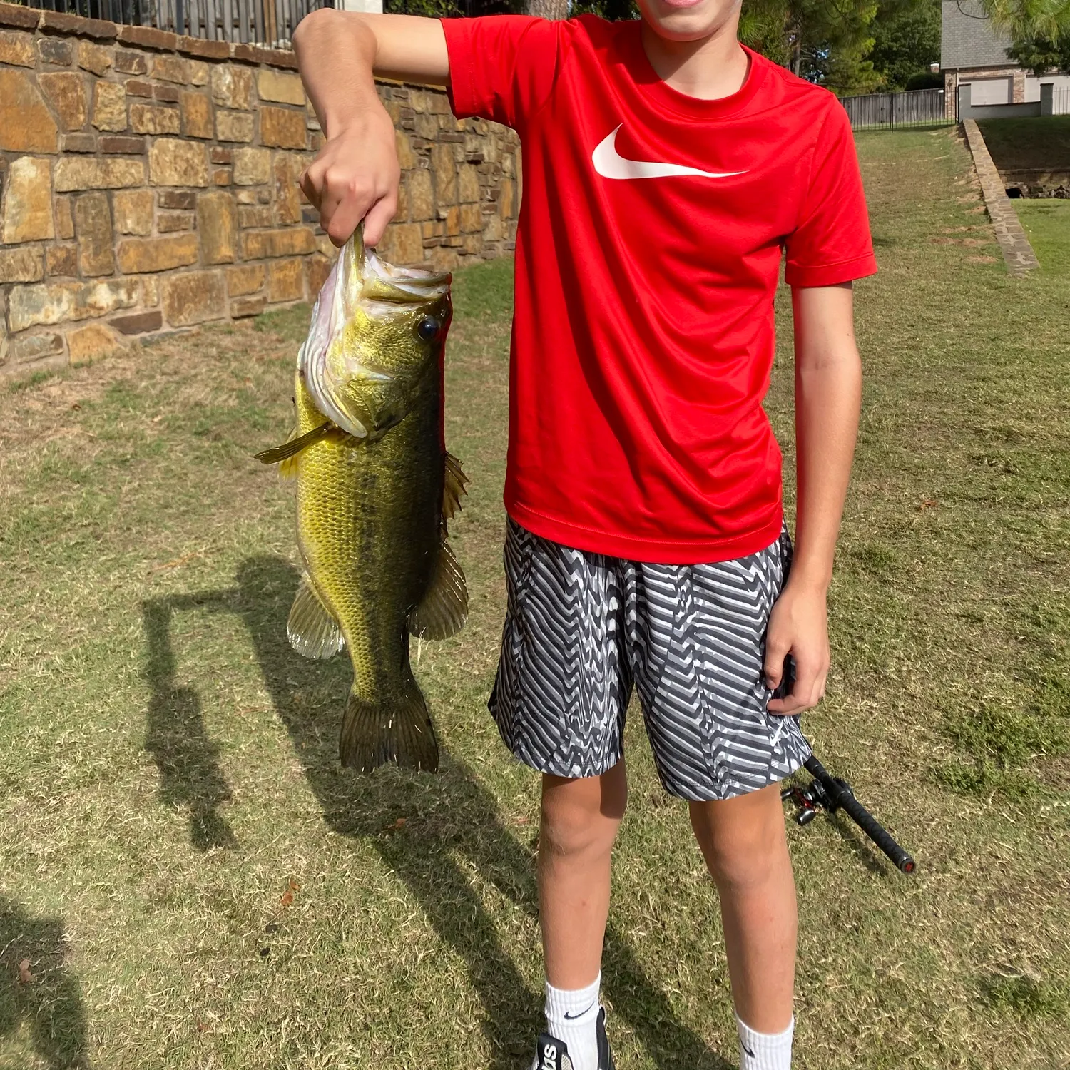 Largemouth bass caught on Fishbrain