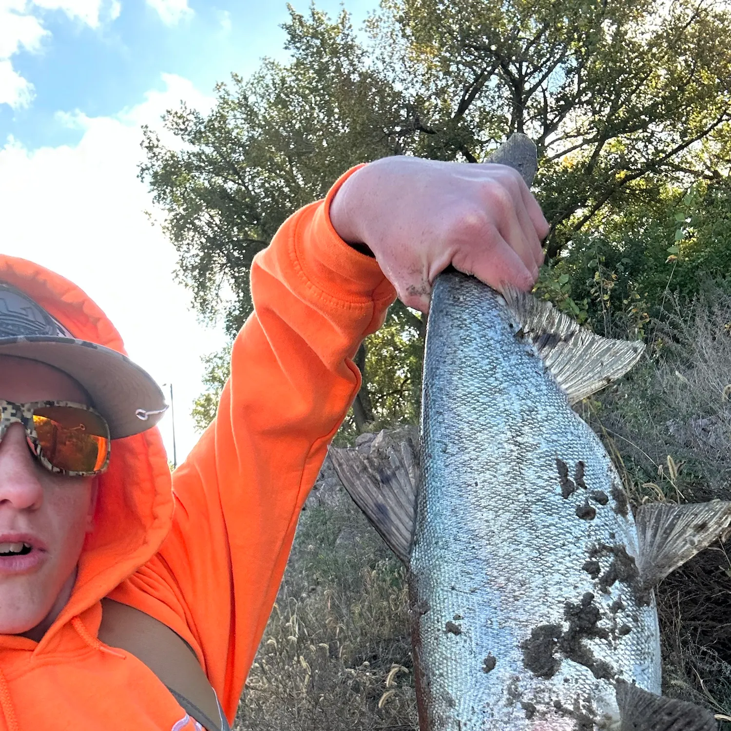 The most recent Silver carp catches on Fishbrain