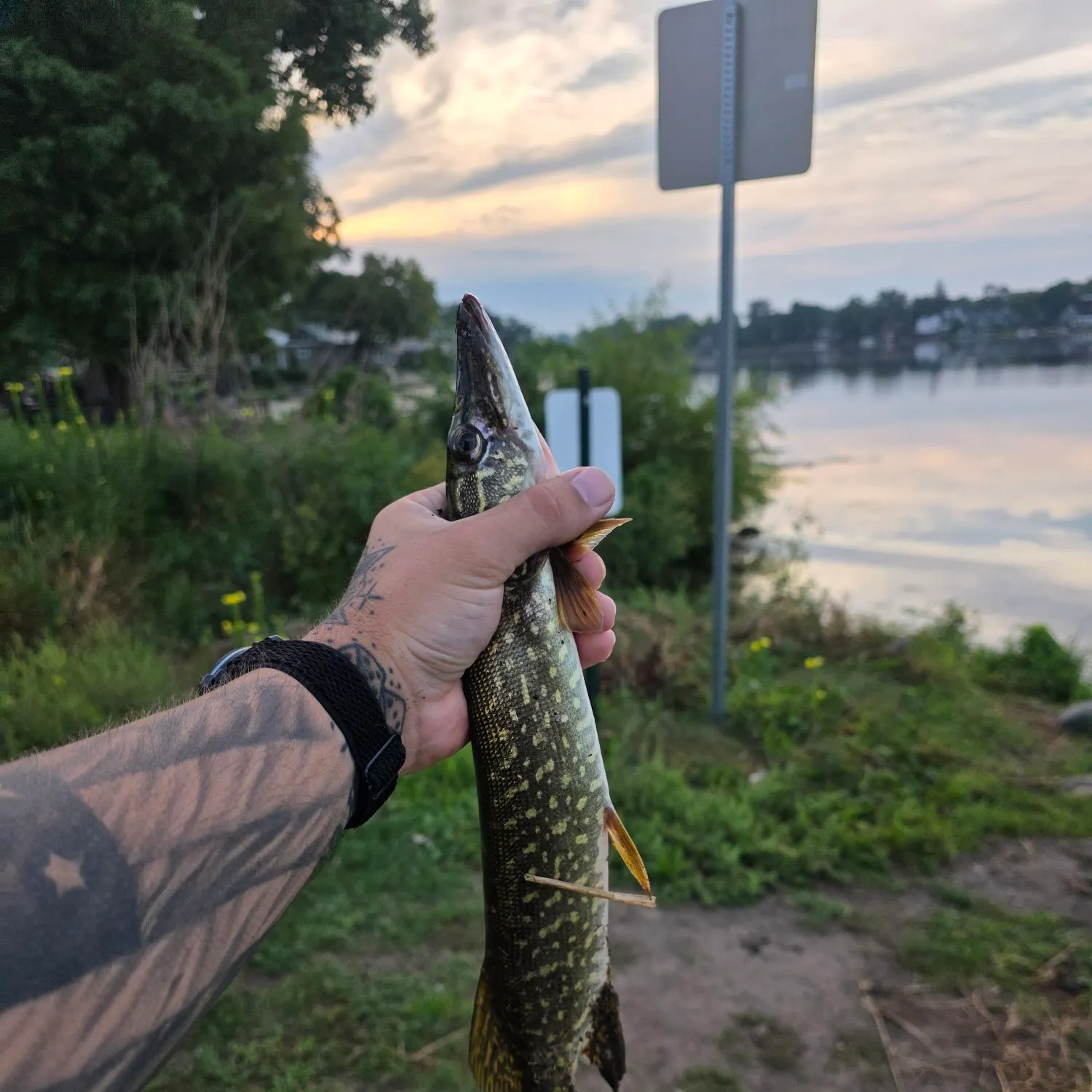 catch