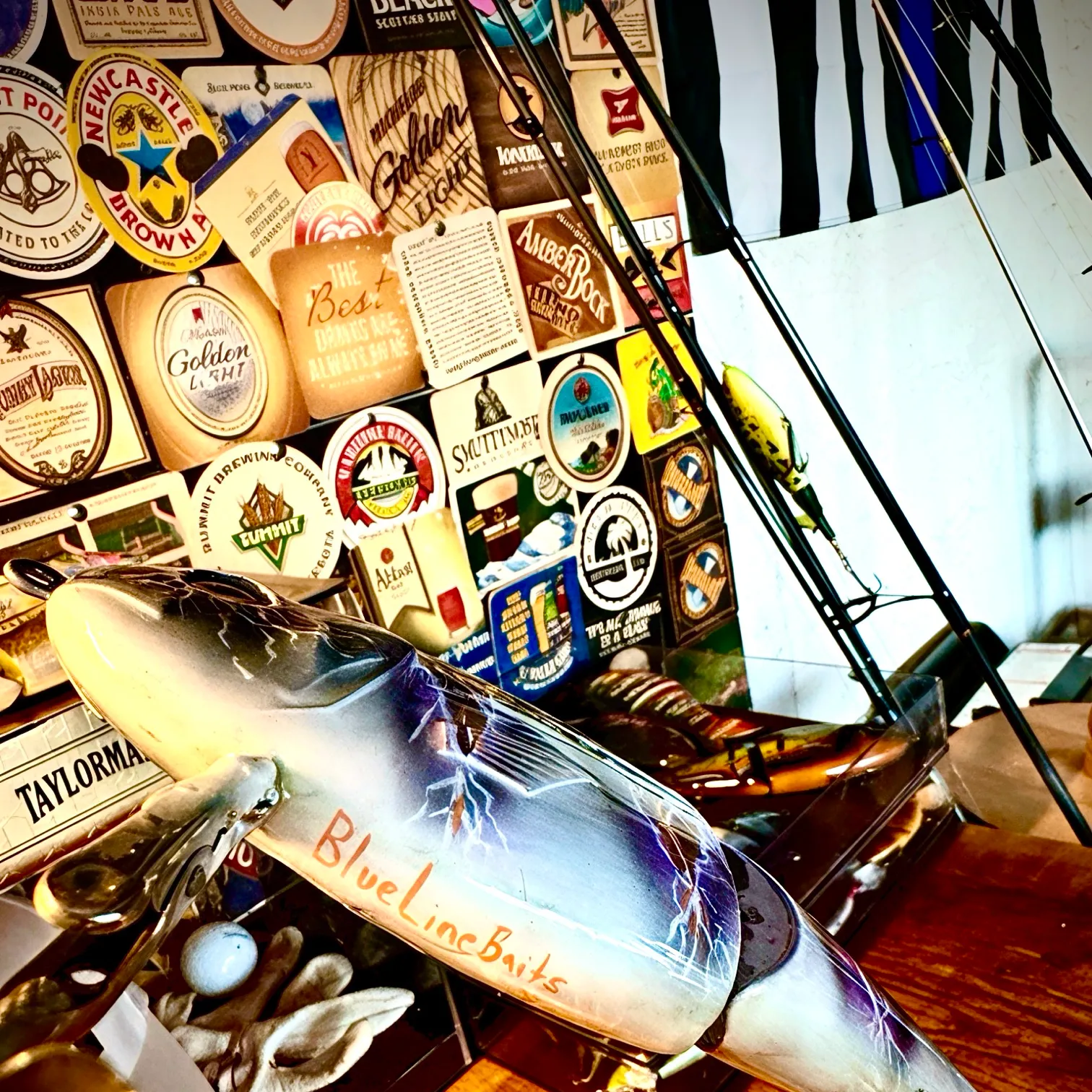 The most recent American shad catches on Fishbrain