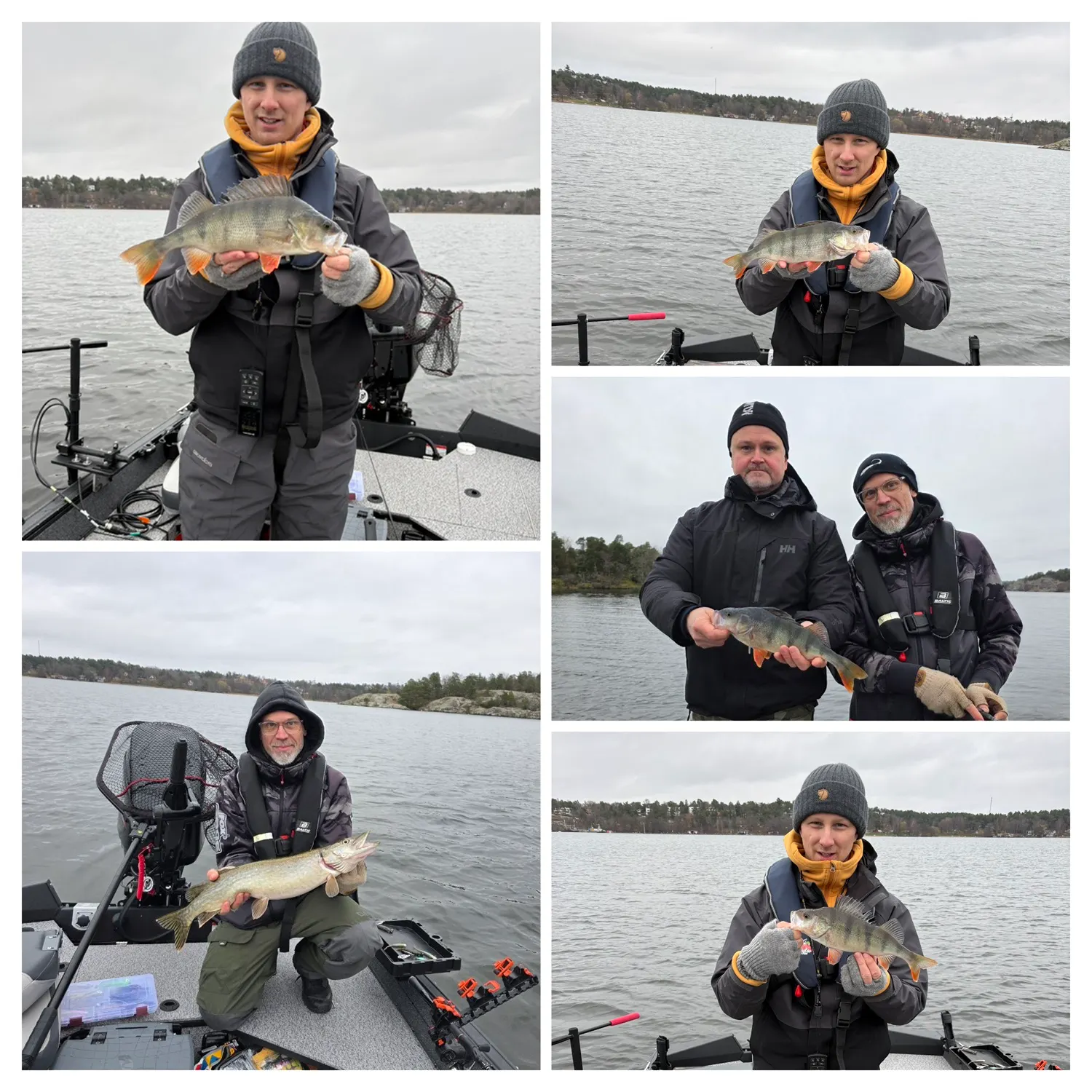 recently logged catches