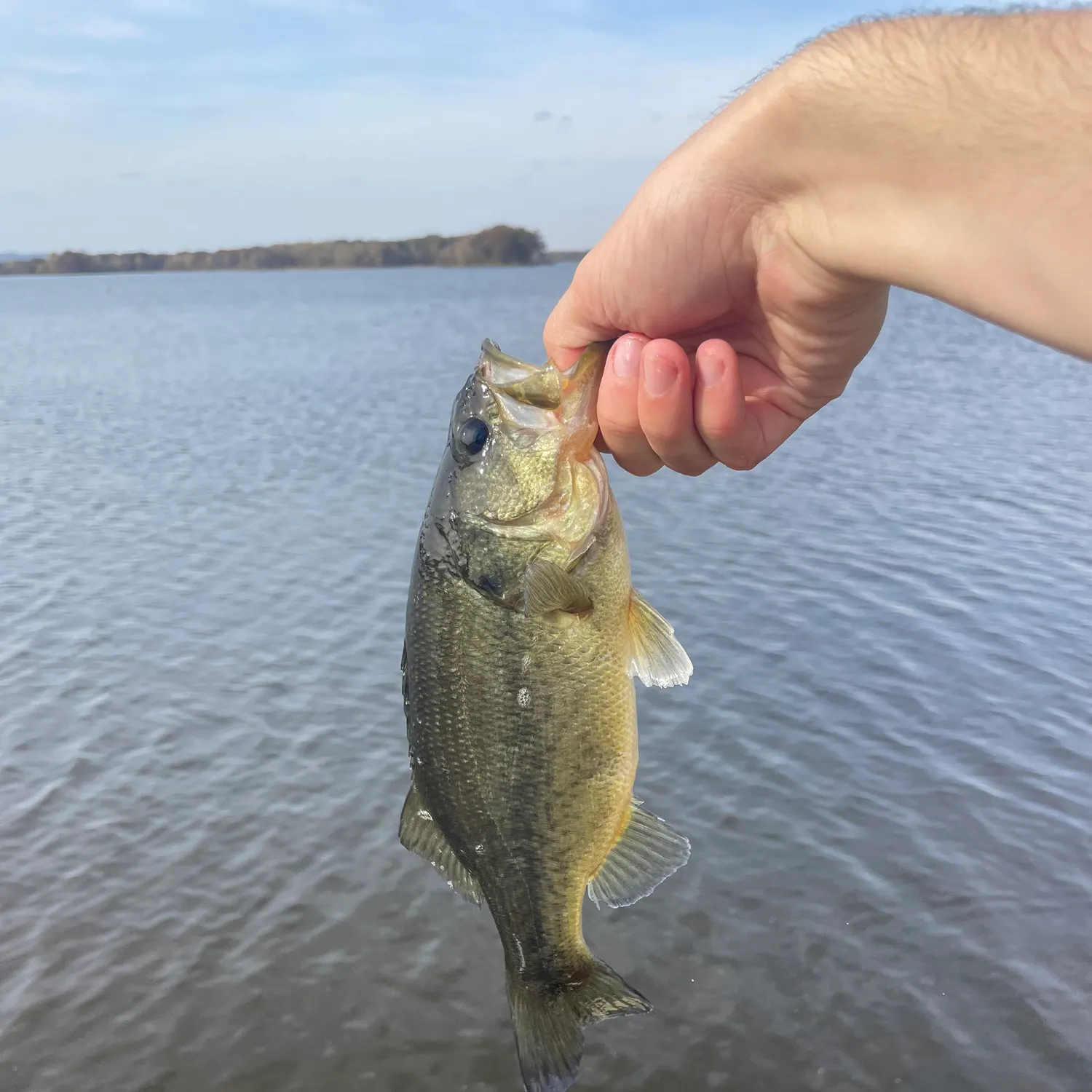 angler catch
