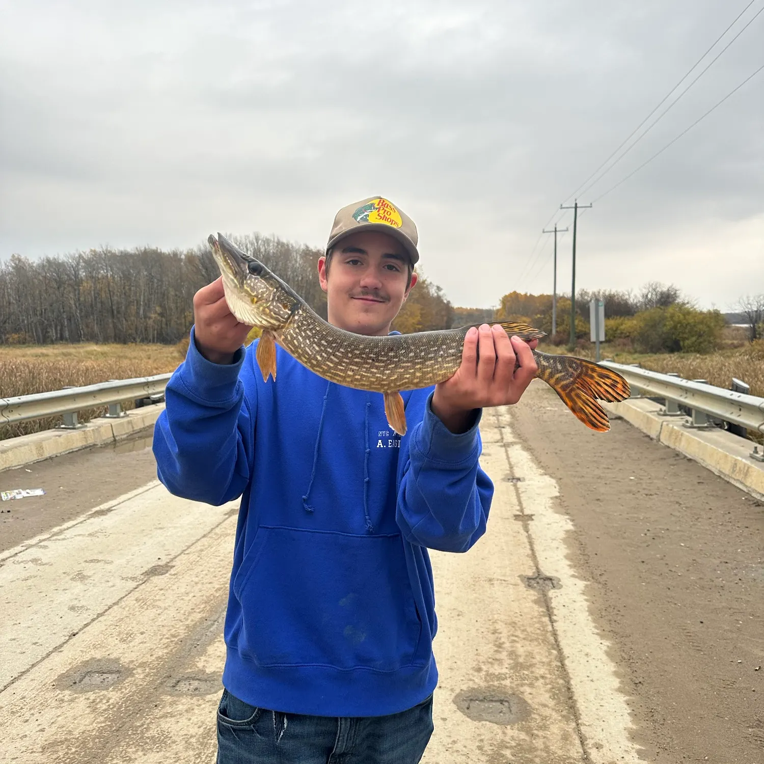 Northern pike caught on Fishbrain