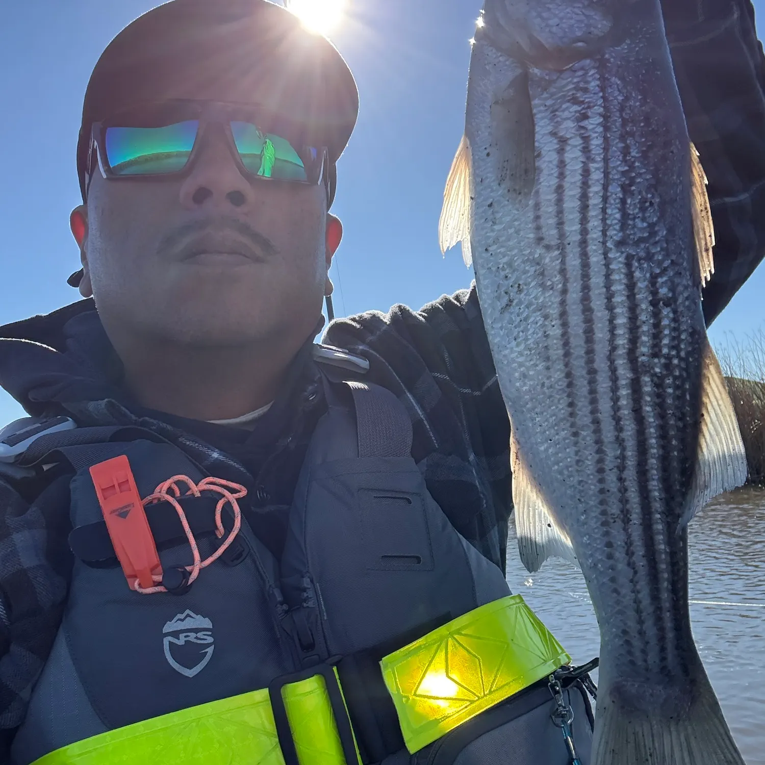 The most recent Striped bass catches on Fishbrain