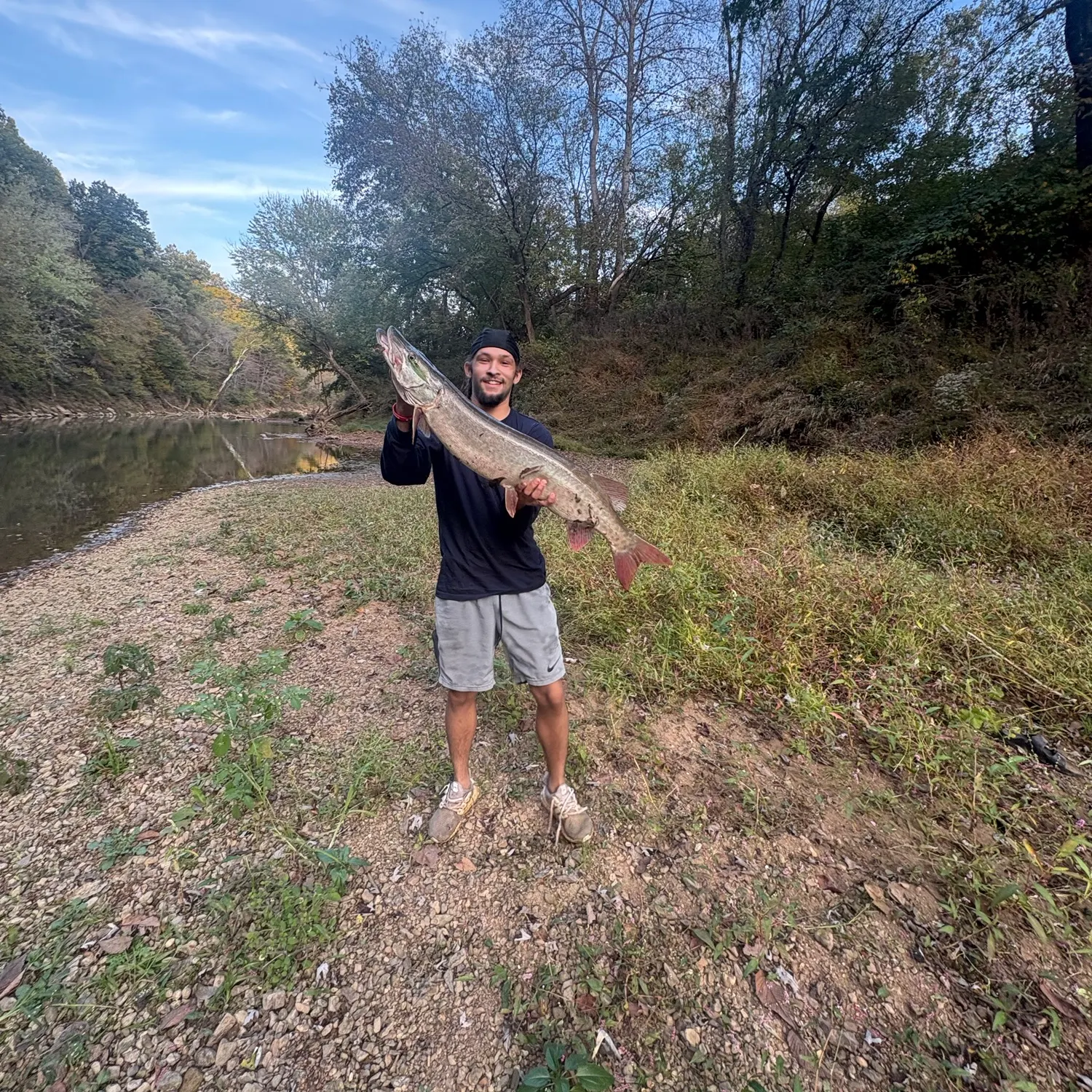 The most recent Muskie catches on Fishbrain