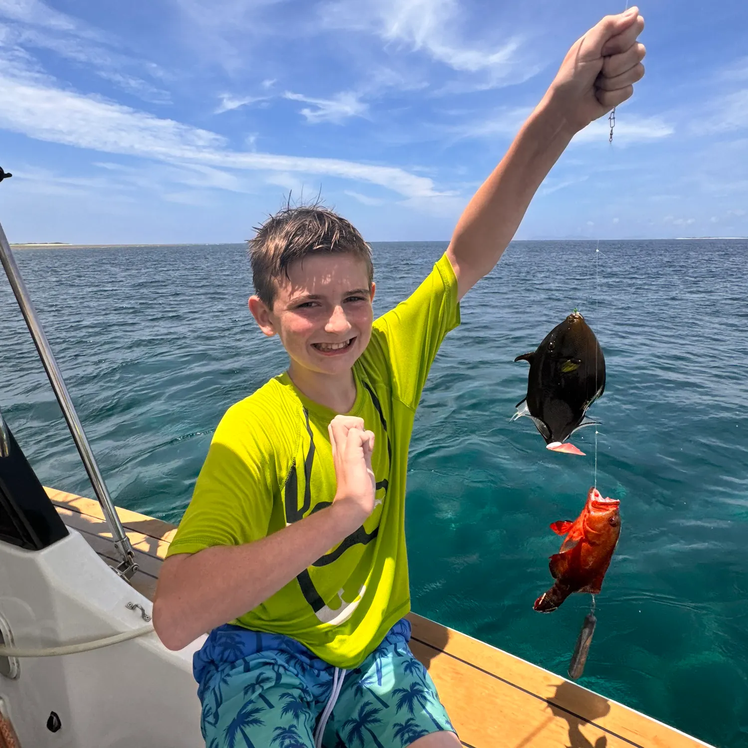 The most recent Black triggerfish catches on Fishbrain