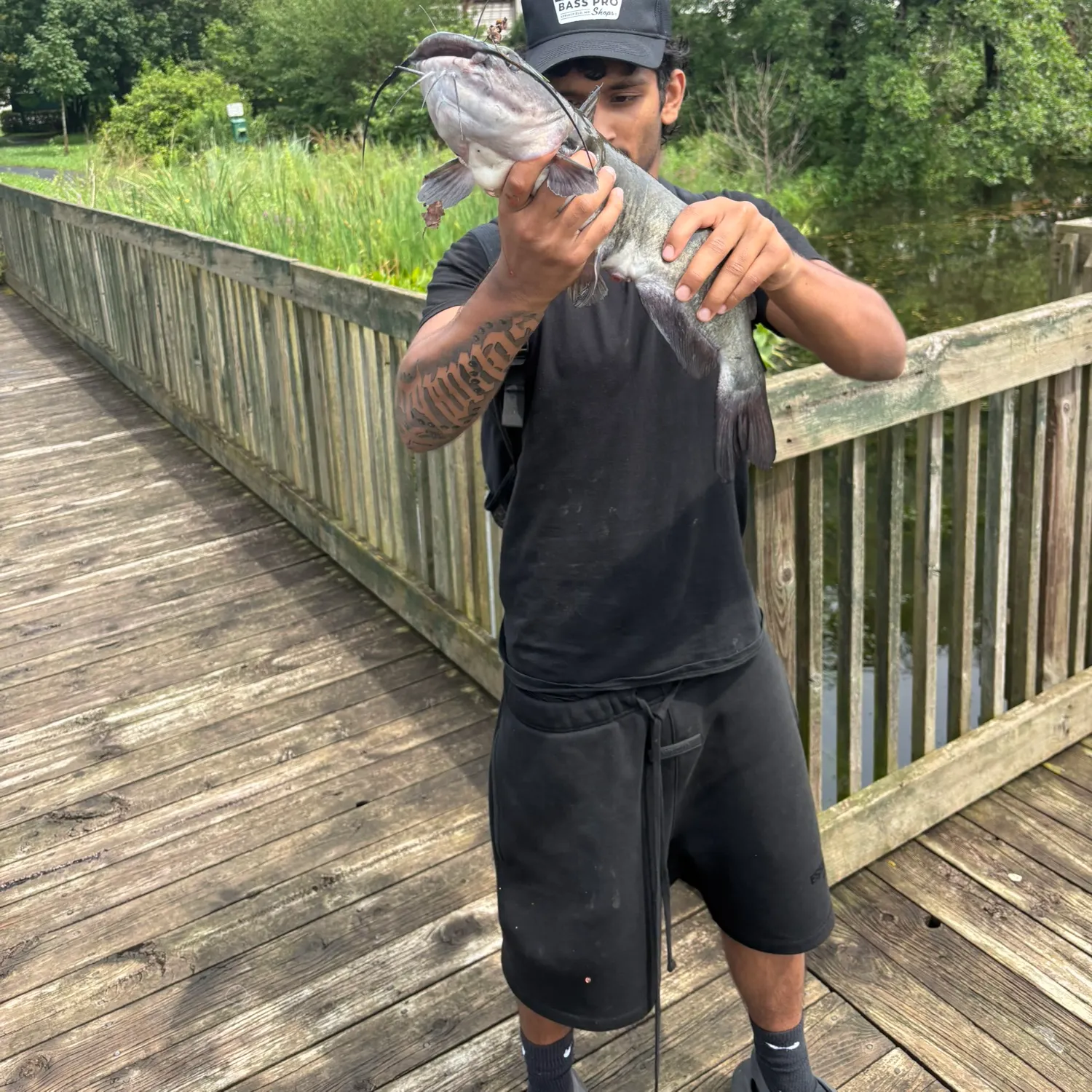 Channel catfish caught on Fishbrain